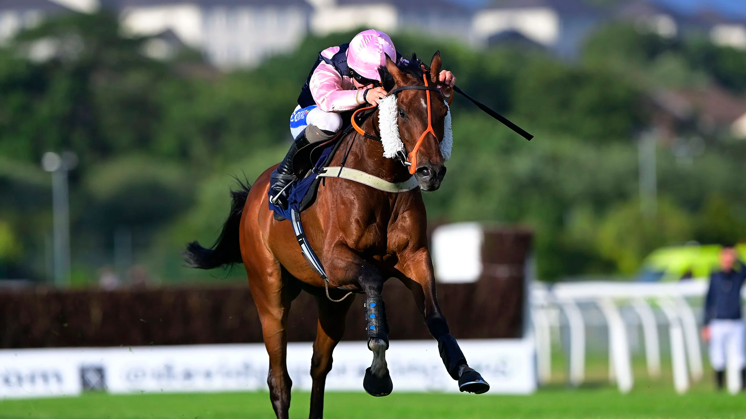 A jockey riding a brown racehorse during a race with a blurred green background.