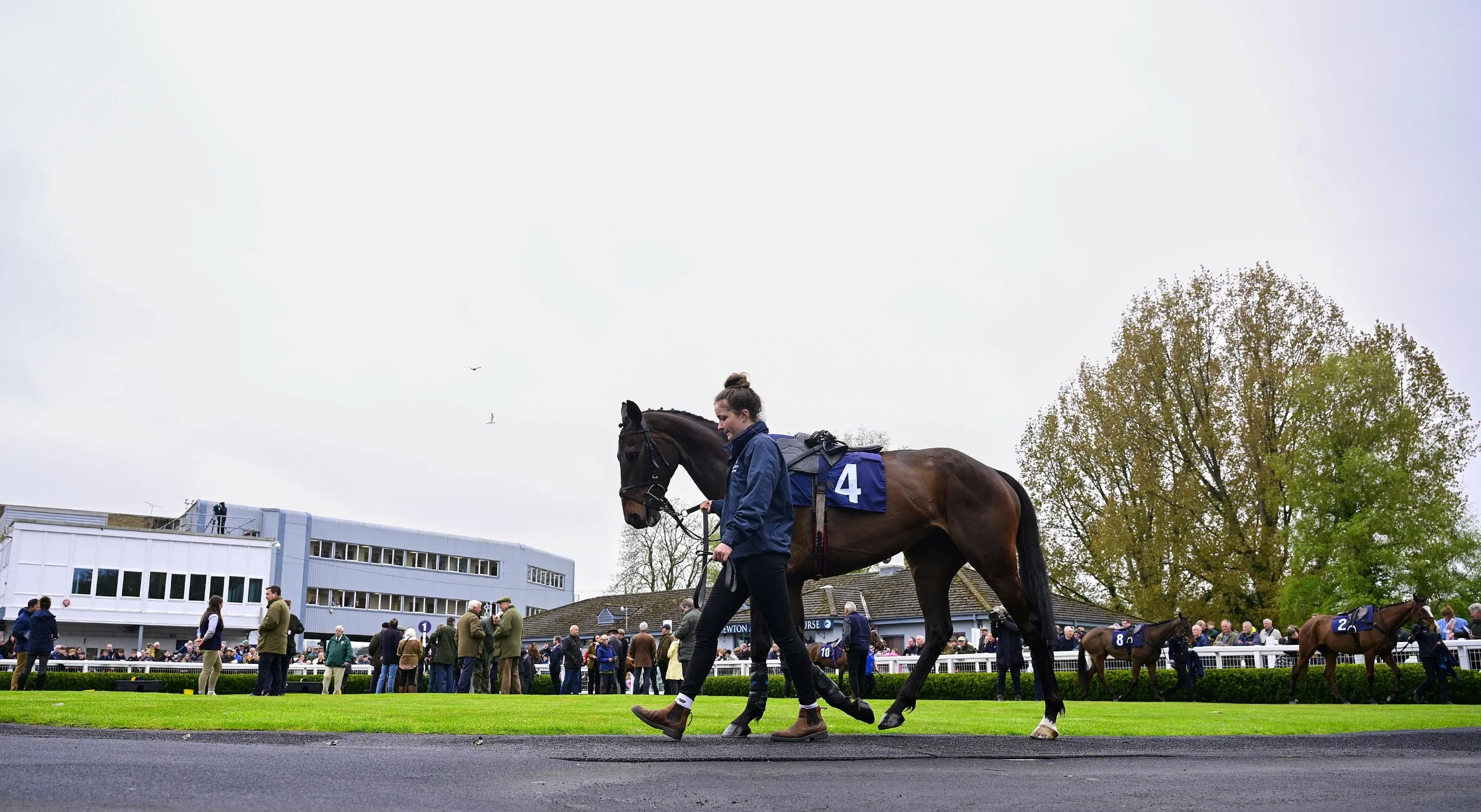 Jump Racing - Afternoon - Meet an Equine Hero
