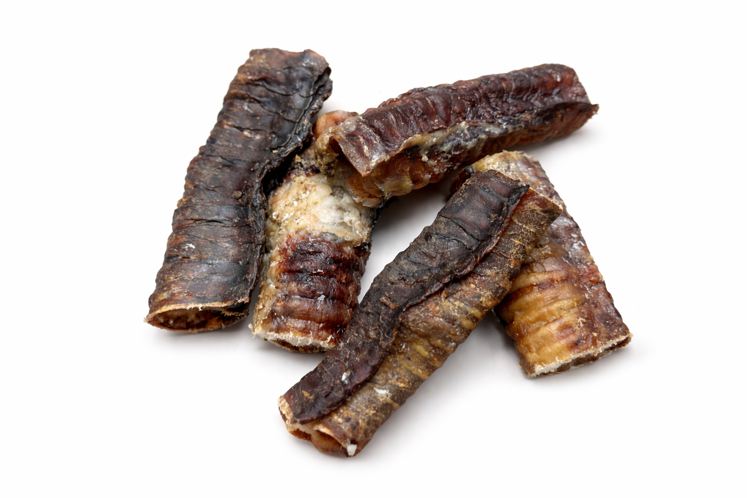 trachea web image.png