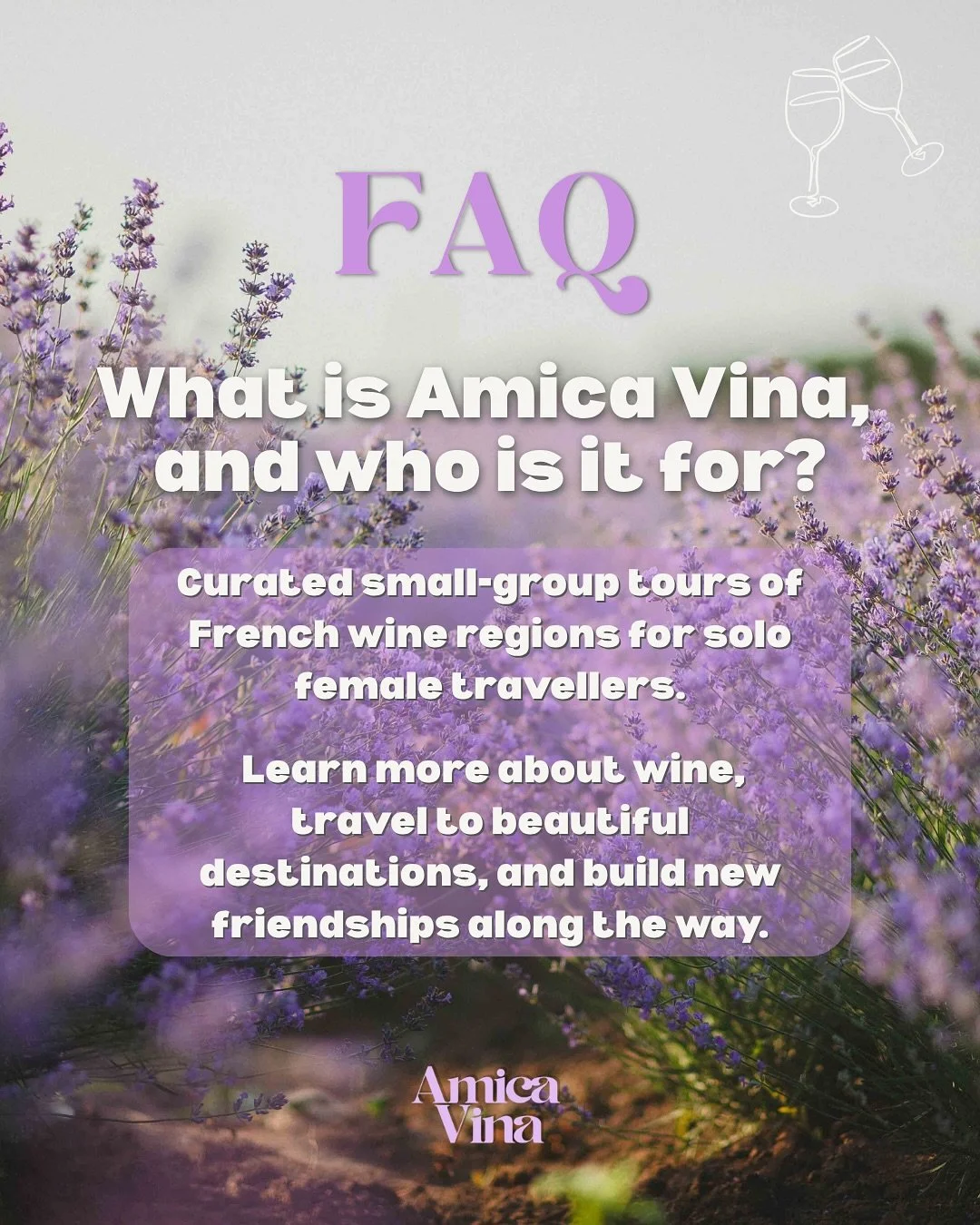 Here are some common questions about Amica Vina tours and what you can anticipate for 2026! We can&rsquo;t wait to explore French wine regions with you.

Feel free to leave any additional questions in the comments 💜

#winetravel #winetourism #france