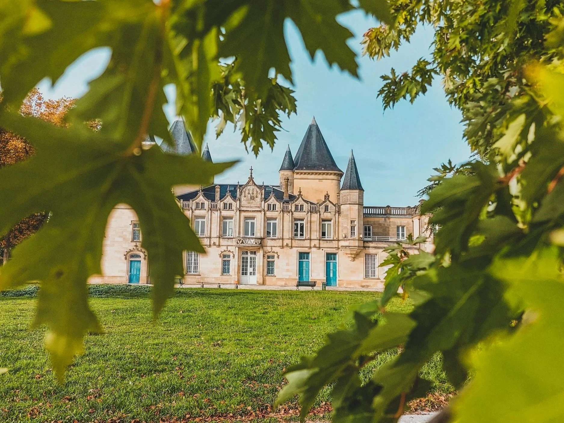 Left Bank vs Right Bank Bordeaux: The Beginner-Friendly Guide