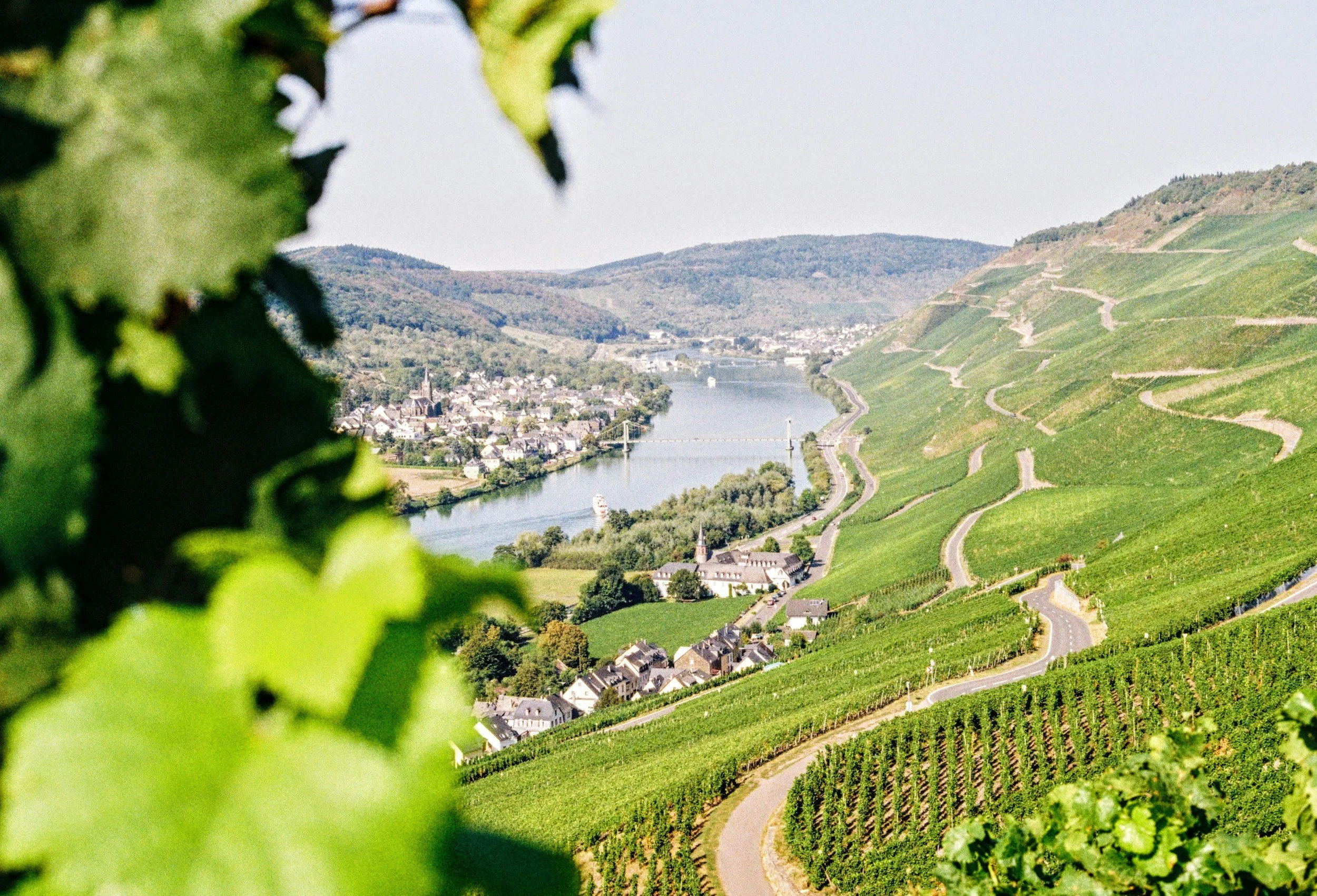 Top 10 European Wine Regions for Female Travellers