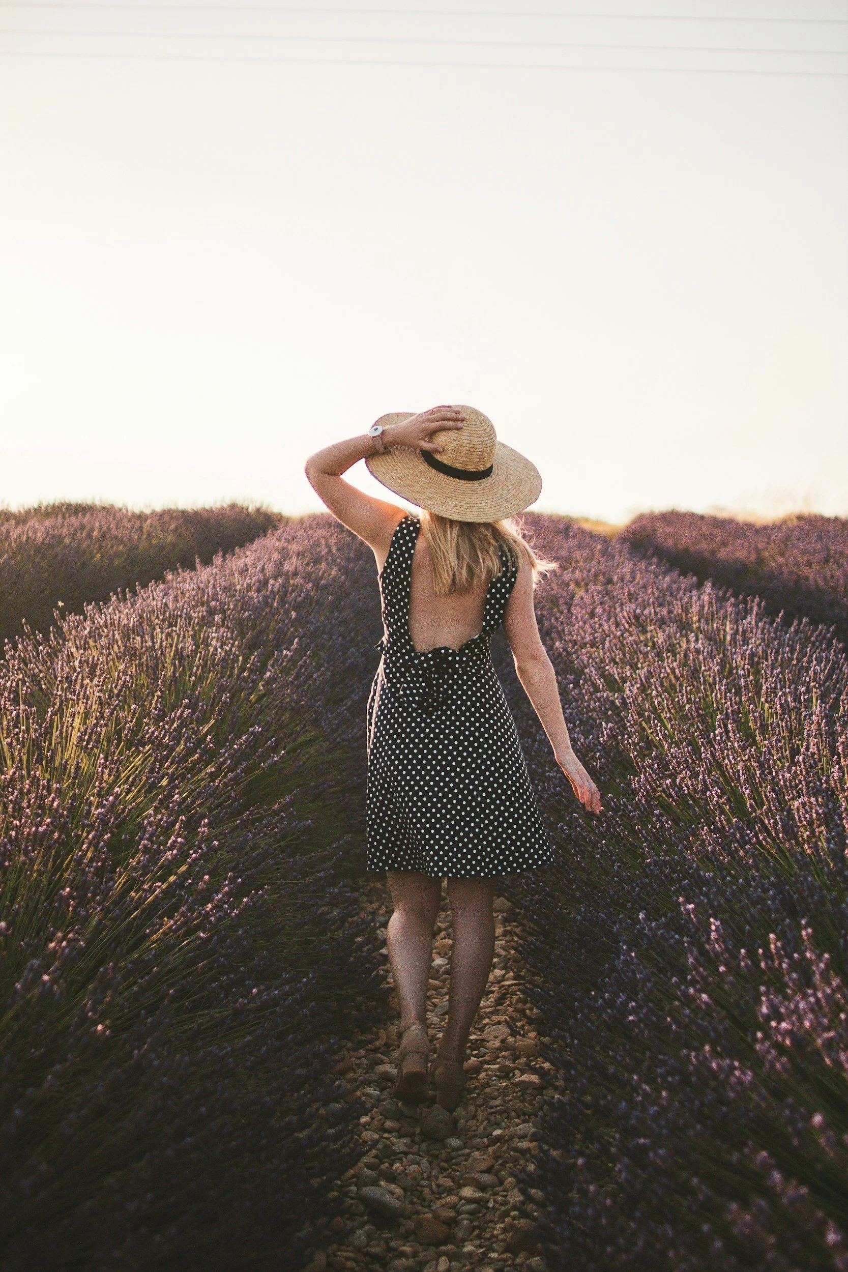 A woman walking through a field of purple lavender flowers at sunset, wearing a black polka dot dress, a large sun hat, and sandals. In Provence France