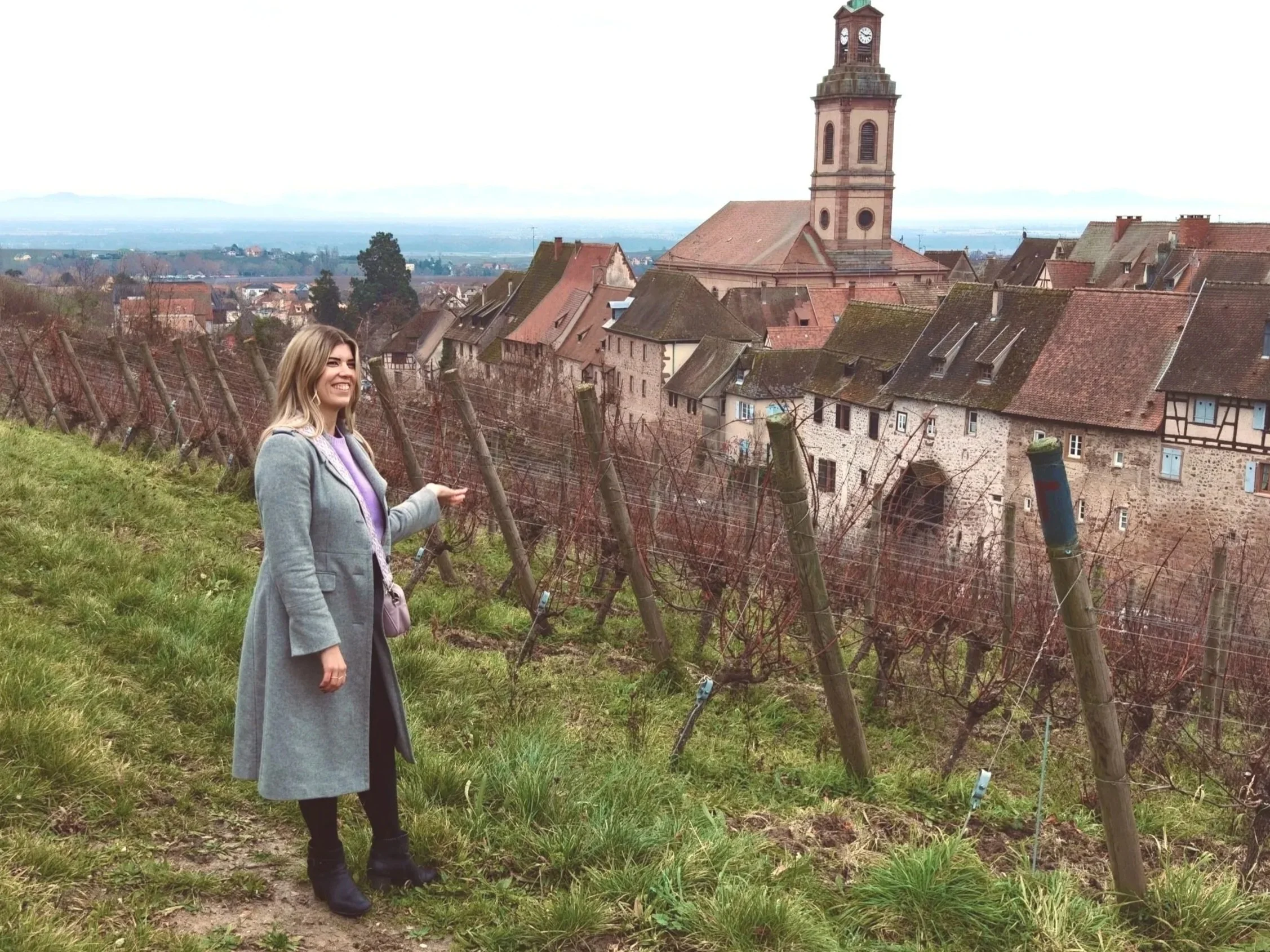 Alsace wine route for group wine retreat