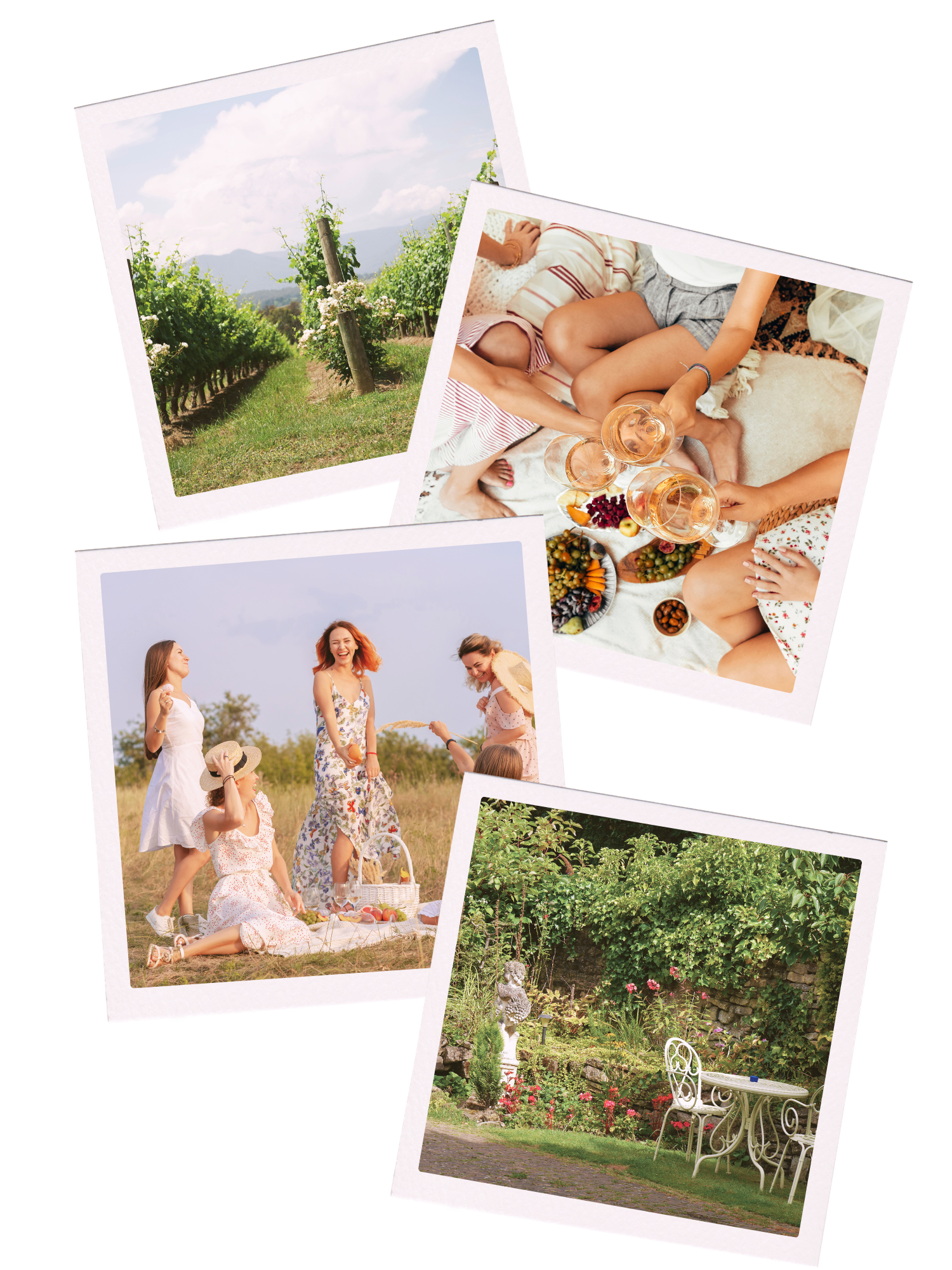 Amica Vina UK Wine Weekends