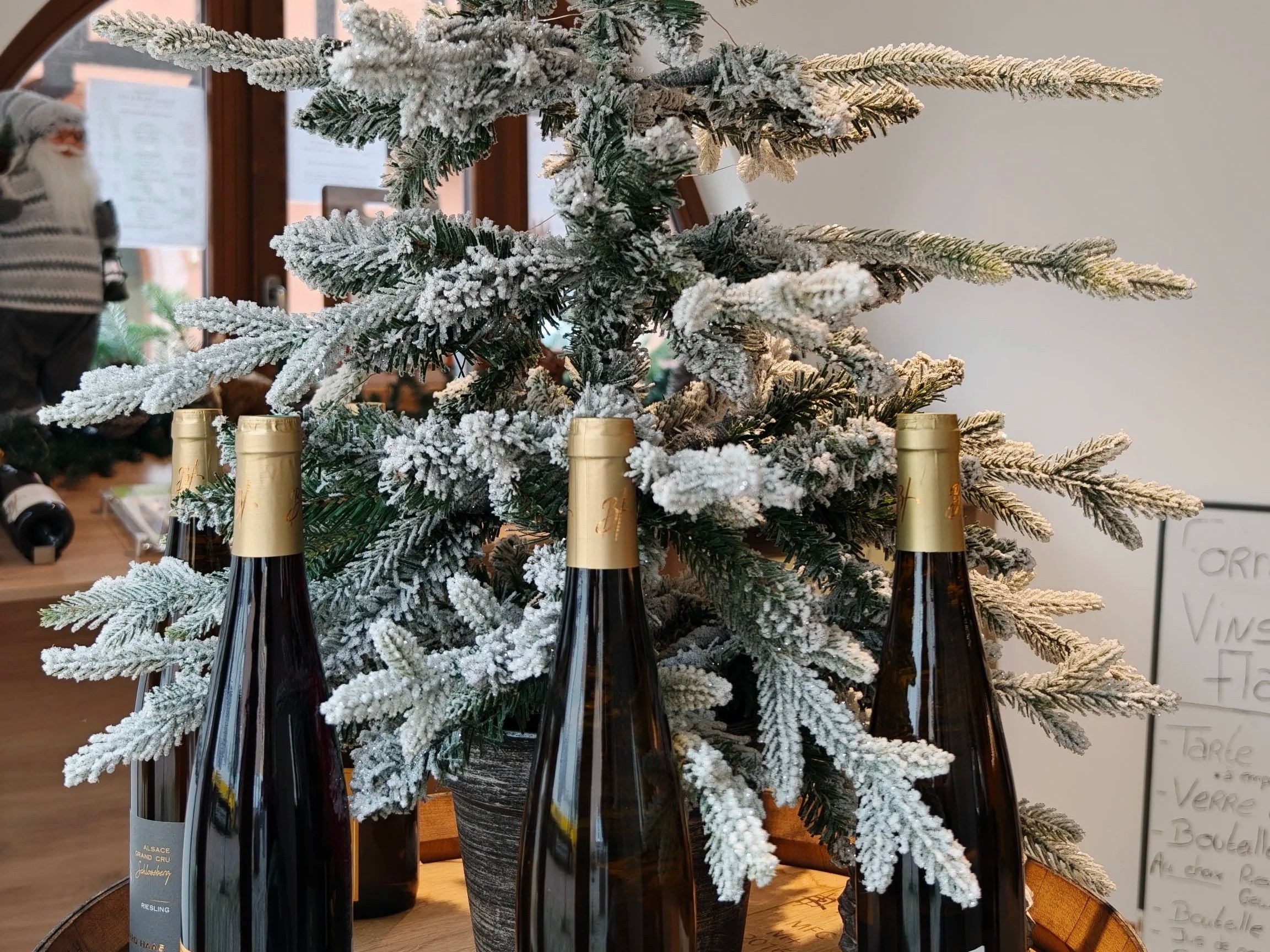 Wine tour women group trip to Alsace France