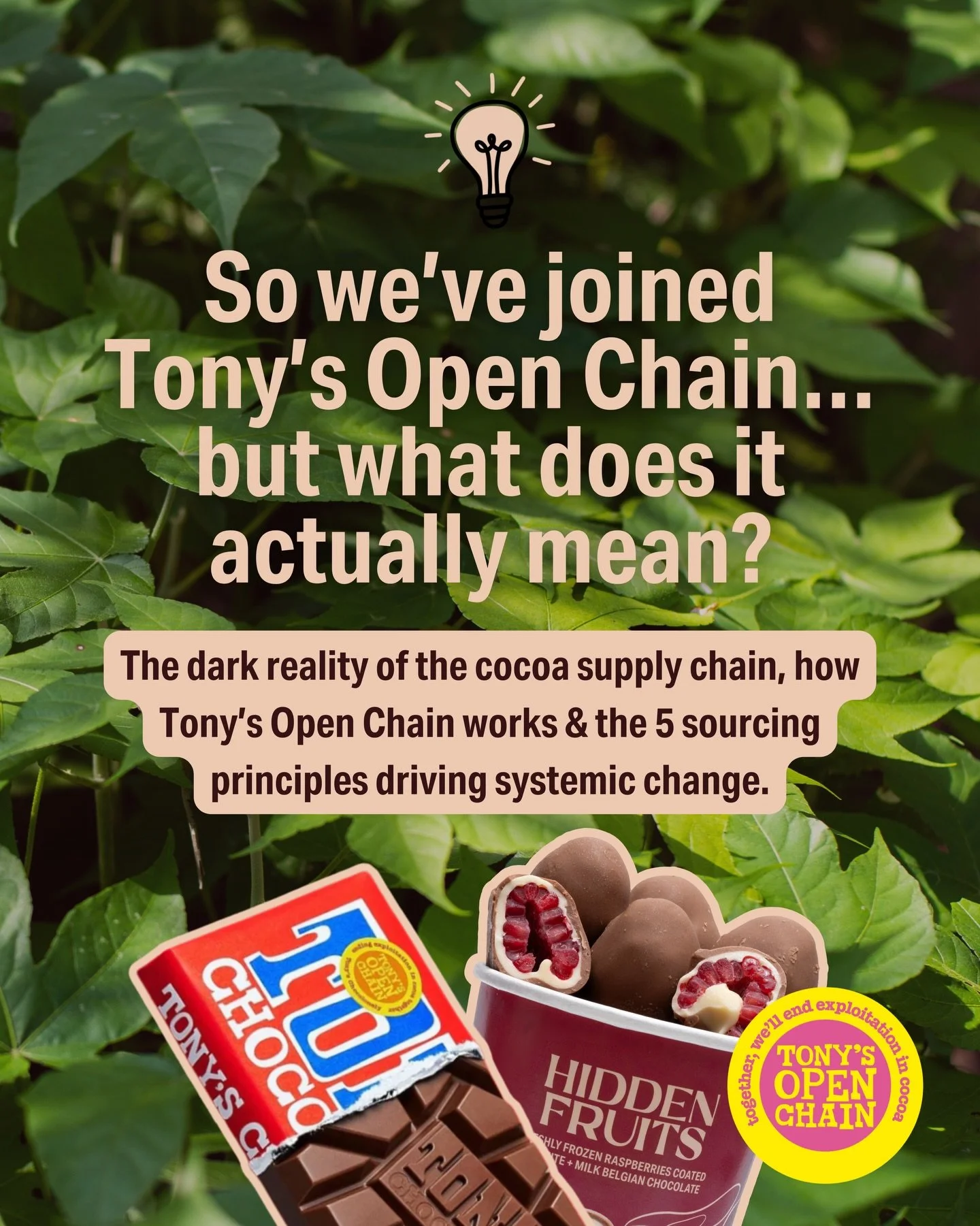 Unpacking what it actually means for Hidden Fruits to be a Tony&rsquo;s Open Chain Mission Ally. 🍫💛 Delighted to be on this journey with you @tonyschocolonely_uk_ire 💫