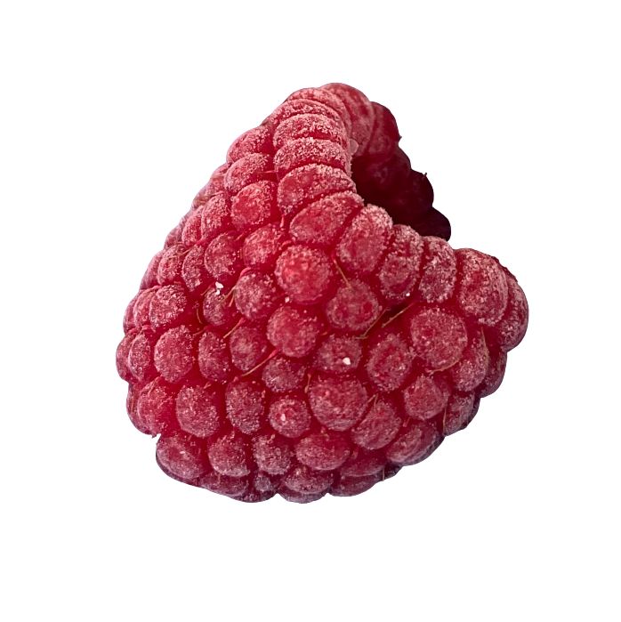 Melted Raspberry Fruit Hidden Fruits