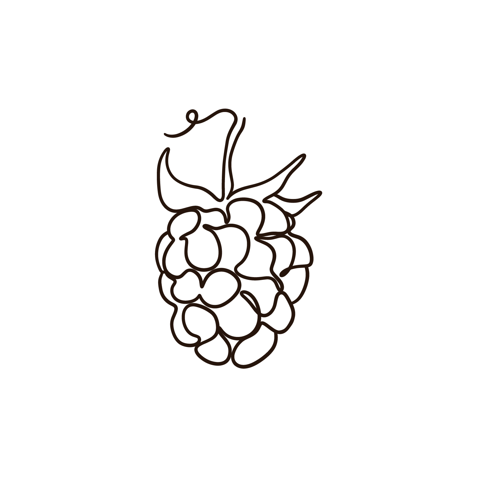 Brown Rasperry Hidden Fruits
