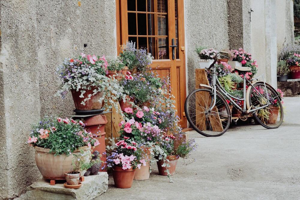 Cindy 1 bike and flowers.jpg