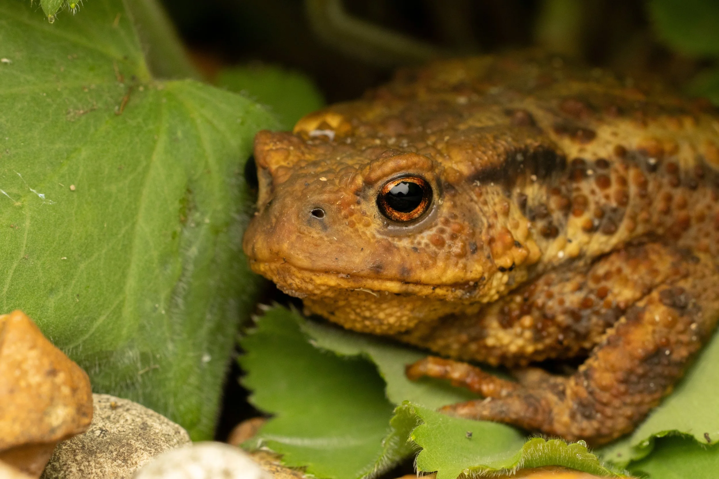 634A0476 lower res.jpg