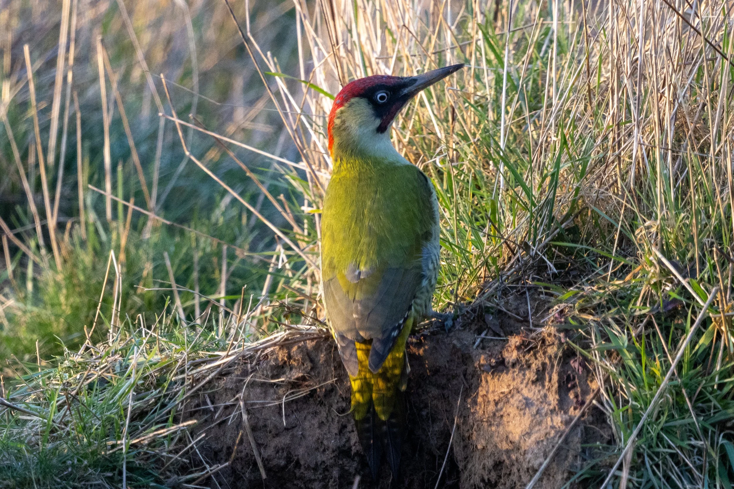 634A7151.jpg