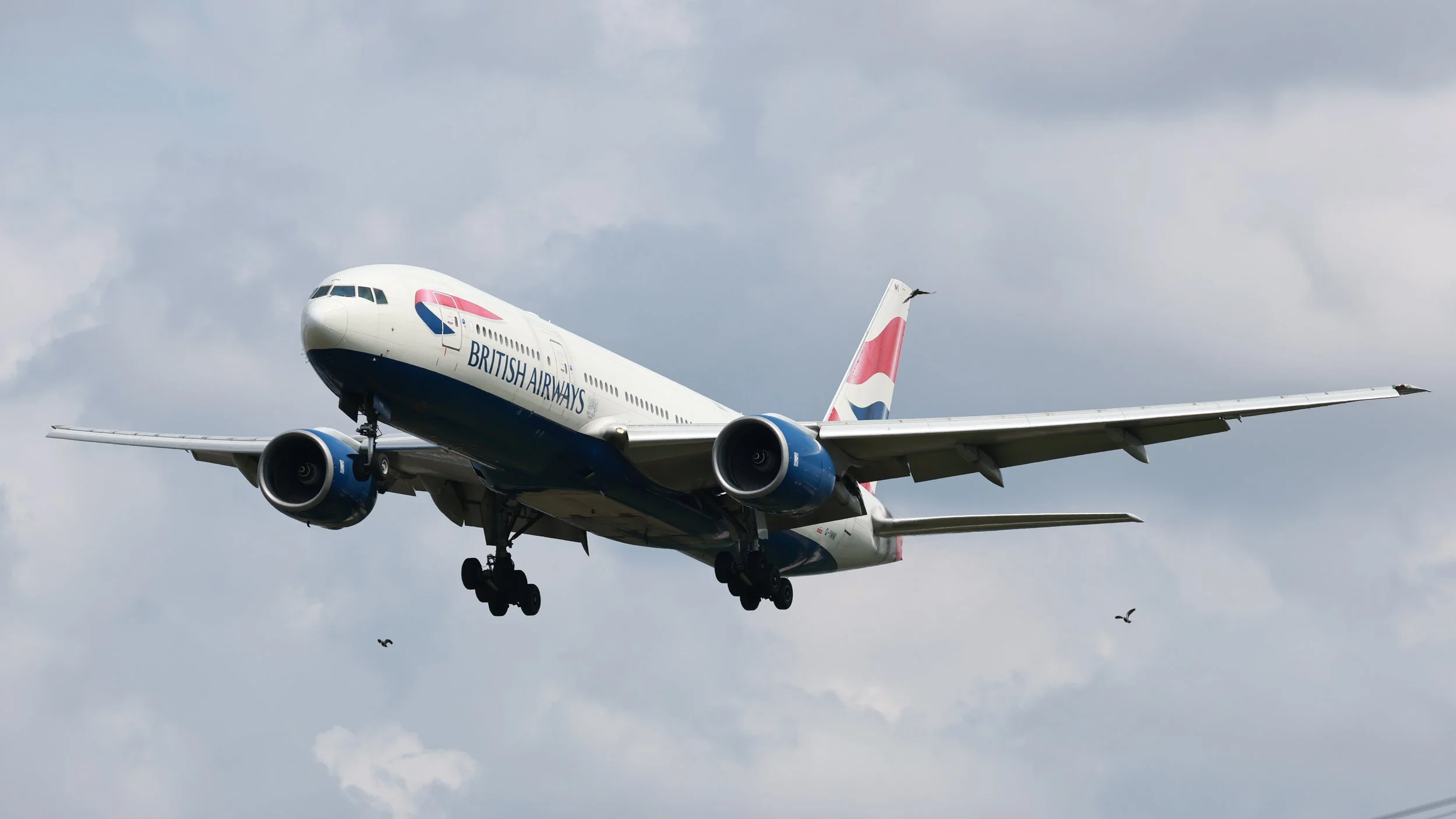 634A1551 - Copy.JPG