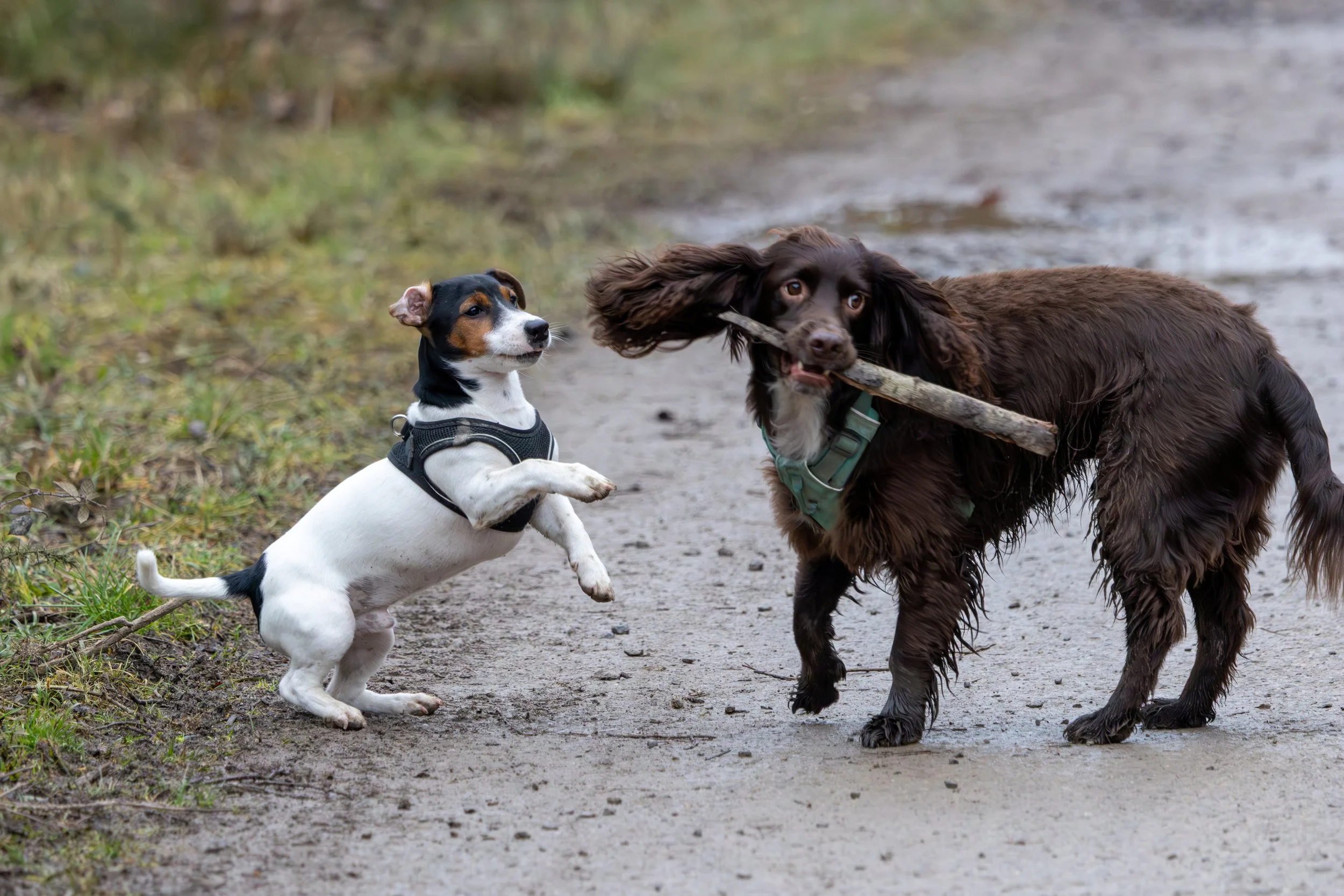 634A1712 lower res.jpg