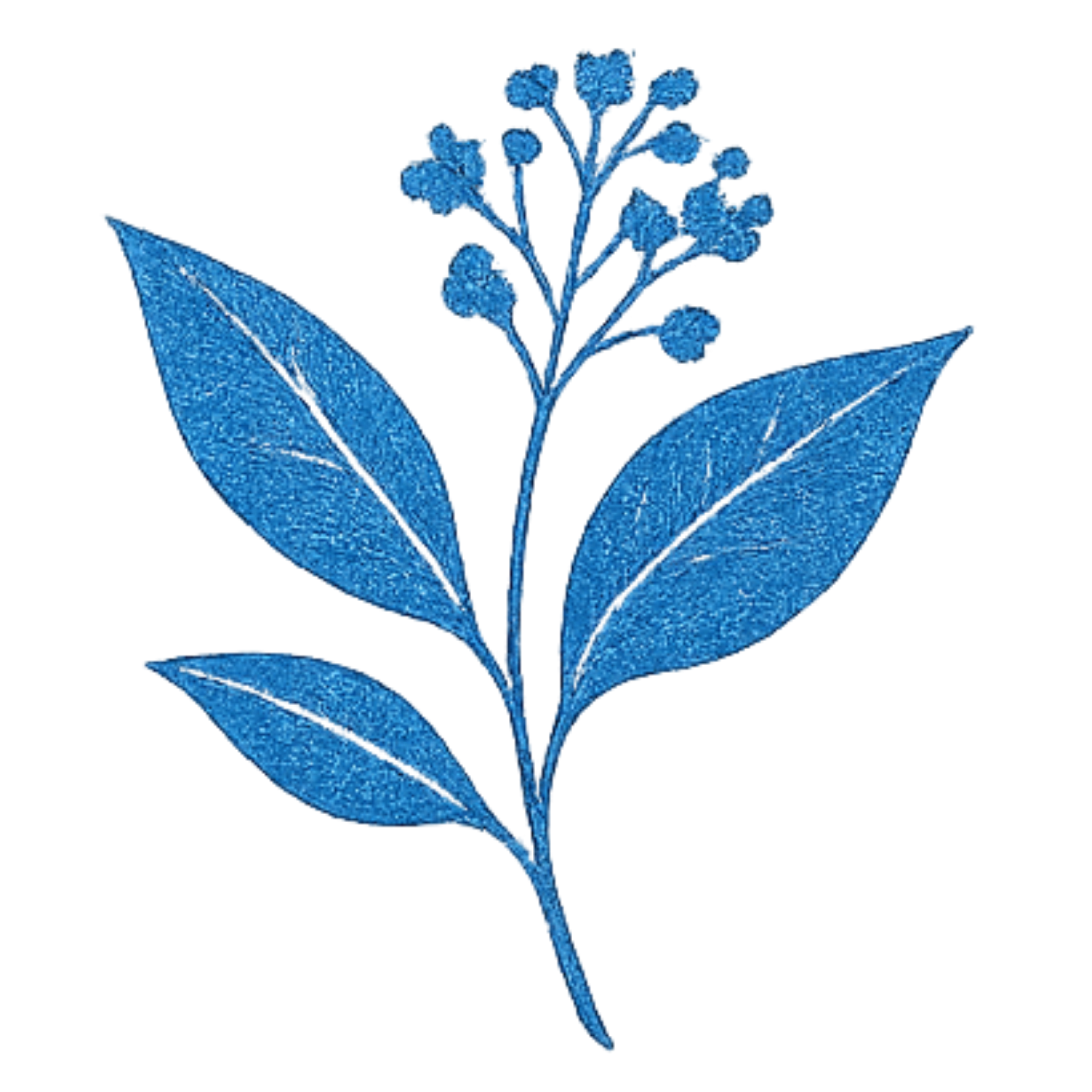 Illustration of a blue plant with leaves and a flower against a black background.