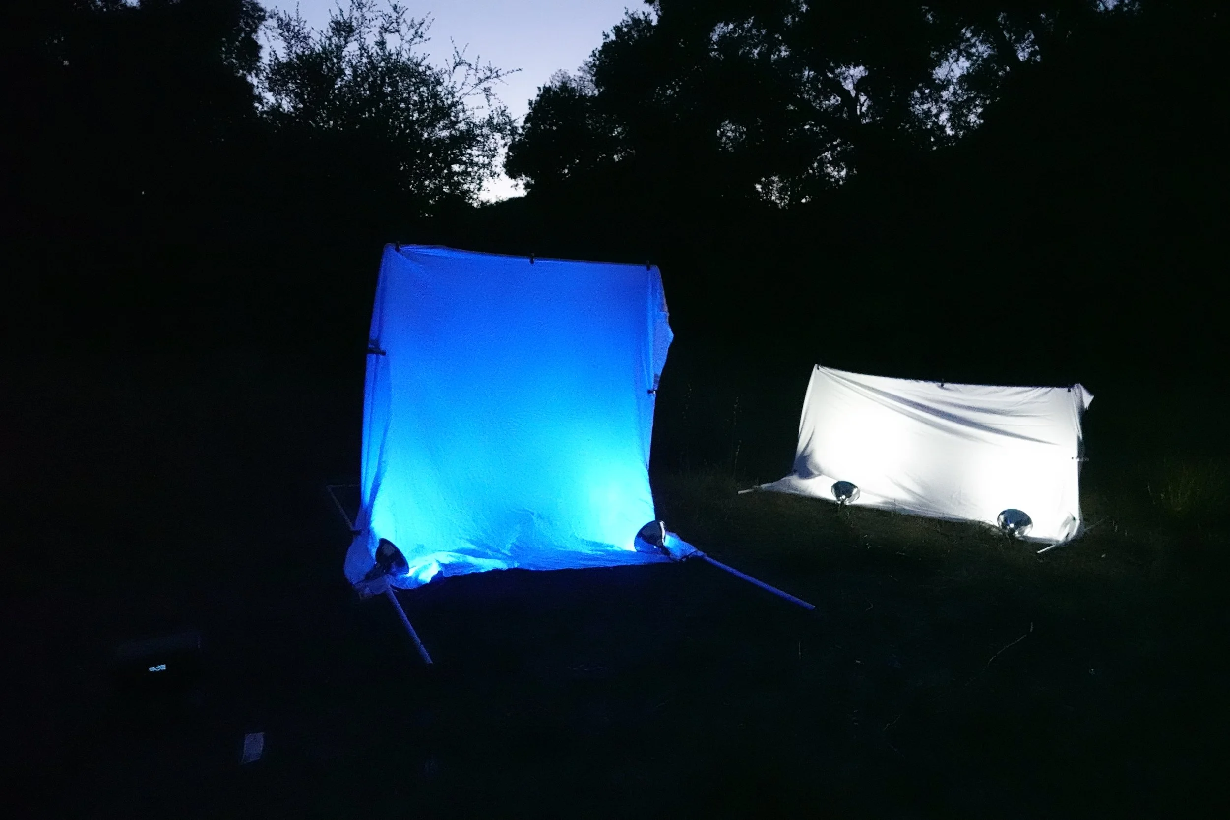 Two illuminated fabric screens, one blue and one white, set up outdoors during dusk or night, surrounded by trees and dark sky.