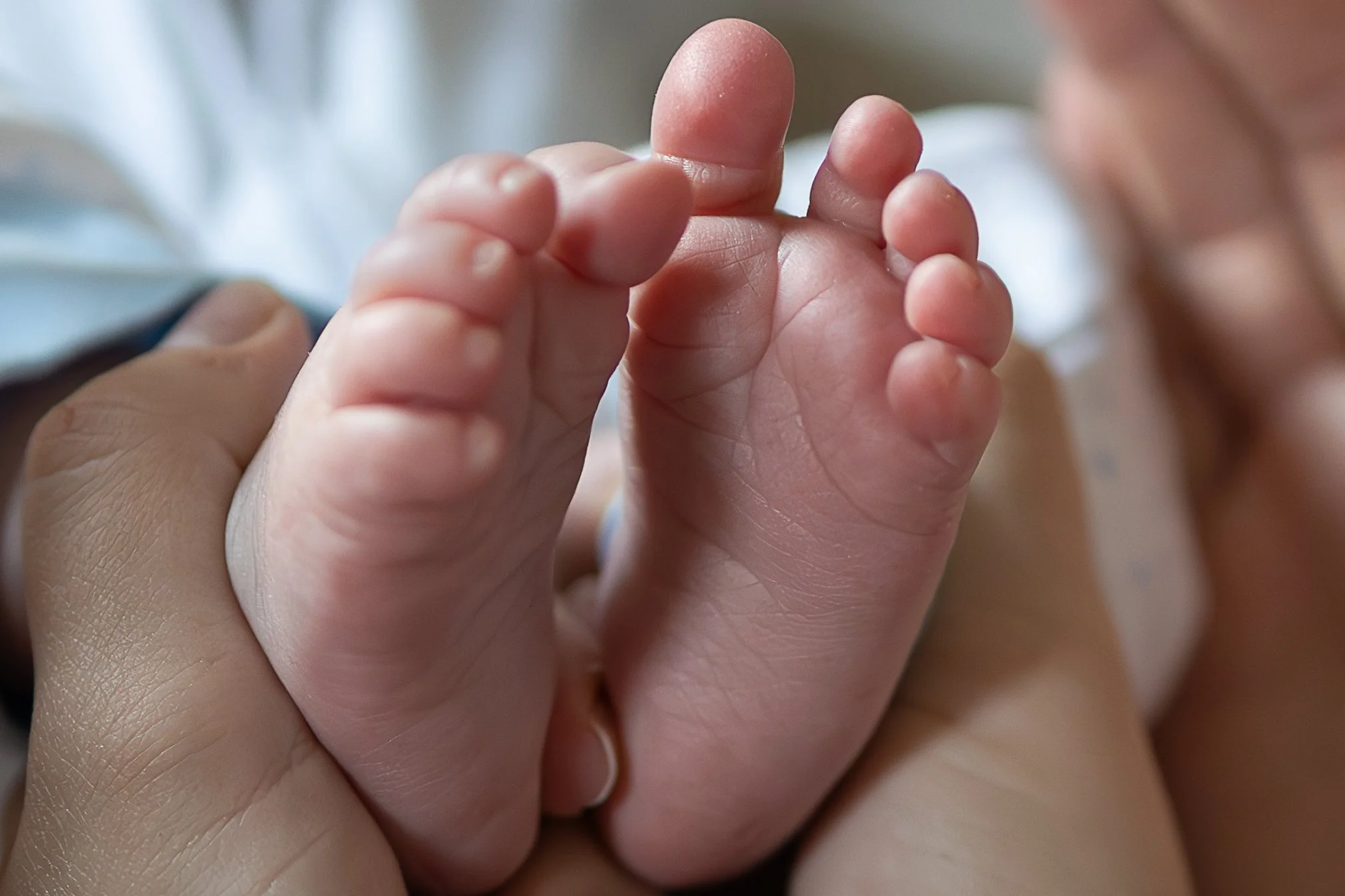 Close-up of a baby's foot being gently held by an adult's hand.