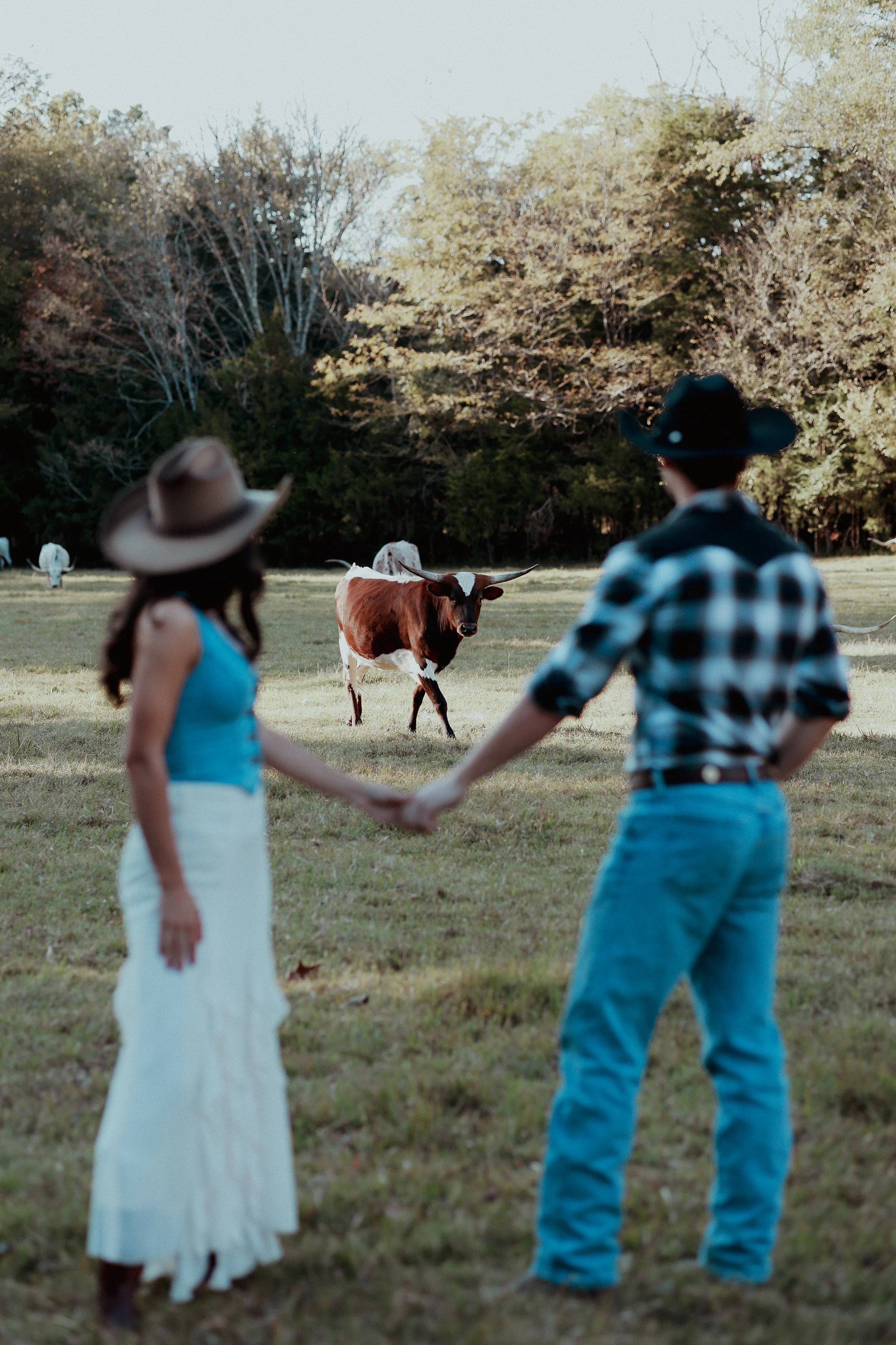 A couple holding hands in a field with a cow in the background and trees.