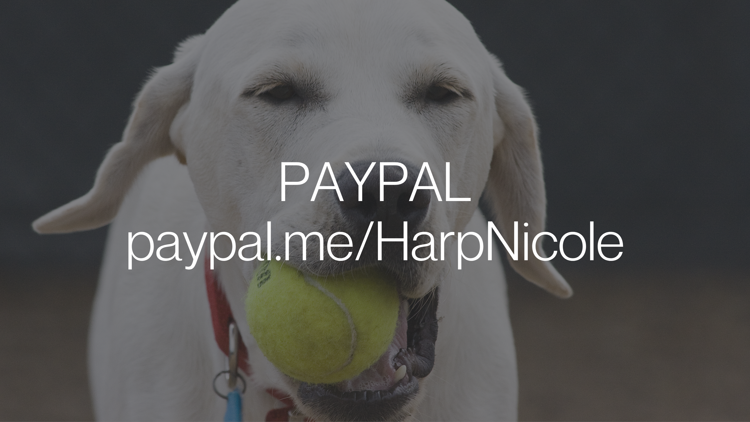 To avoid PayPal fee please choose “friends and family” ON ALL sections that have payments options