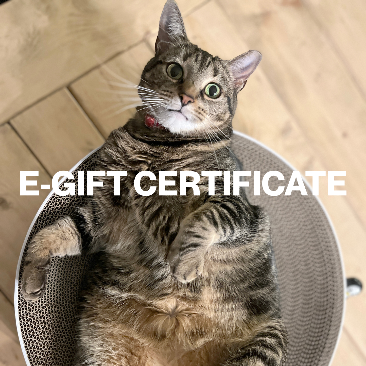Gift Certificate