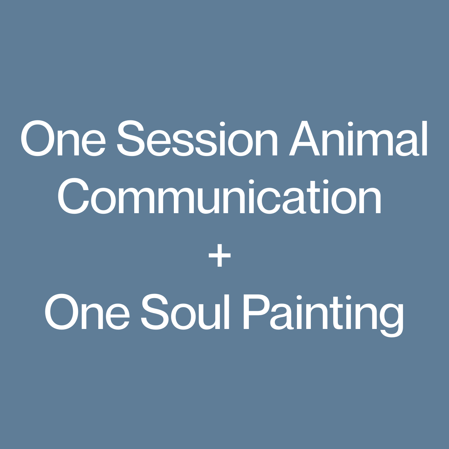 Combo One Session Animal Communication + One Soul Painting