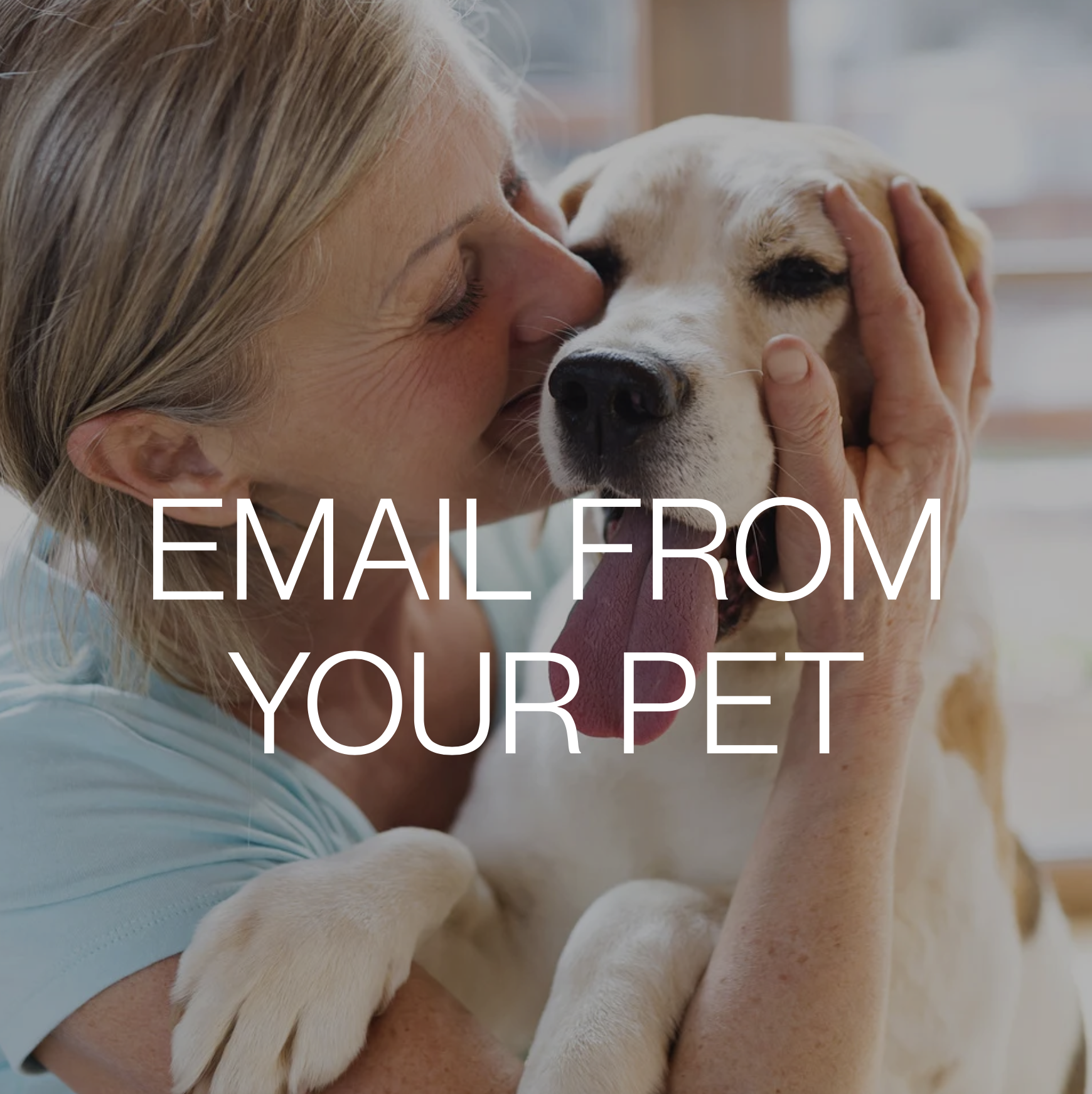 Screenshot 2026-03-23 at 1.31.48 PM.png