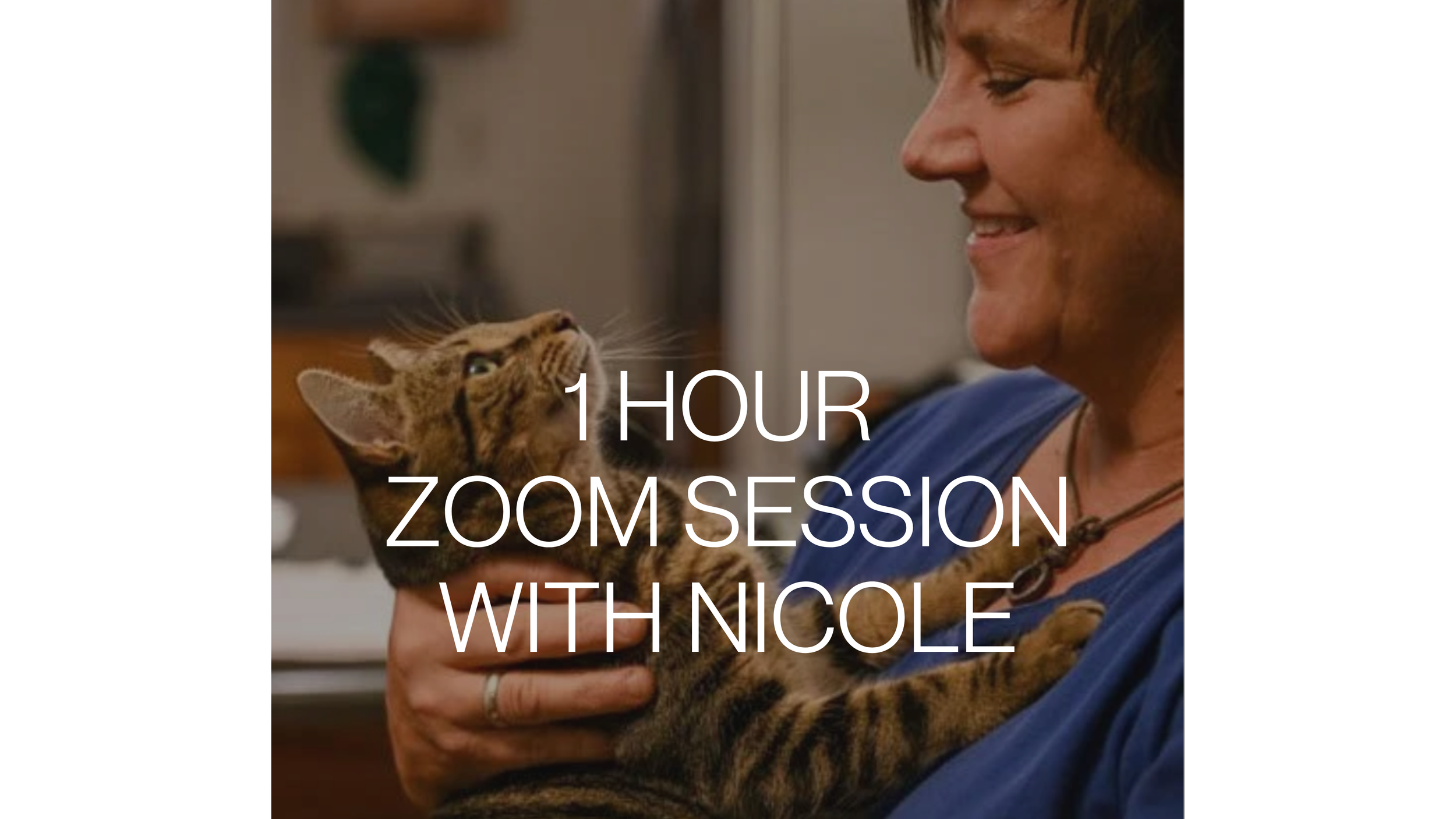 Gift or Purchase:  Animal Communication One Session