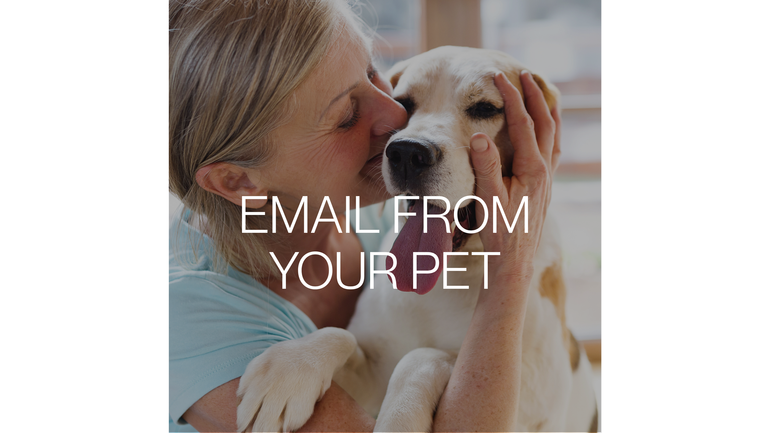A Heartfelt Email Message Channeled Directly From Your Animal Companion to You.
