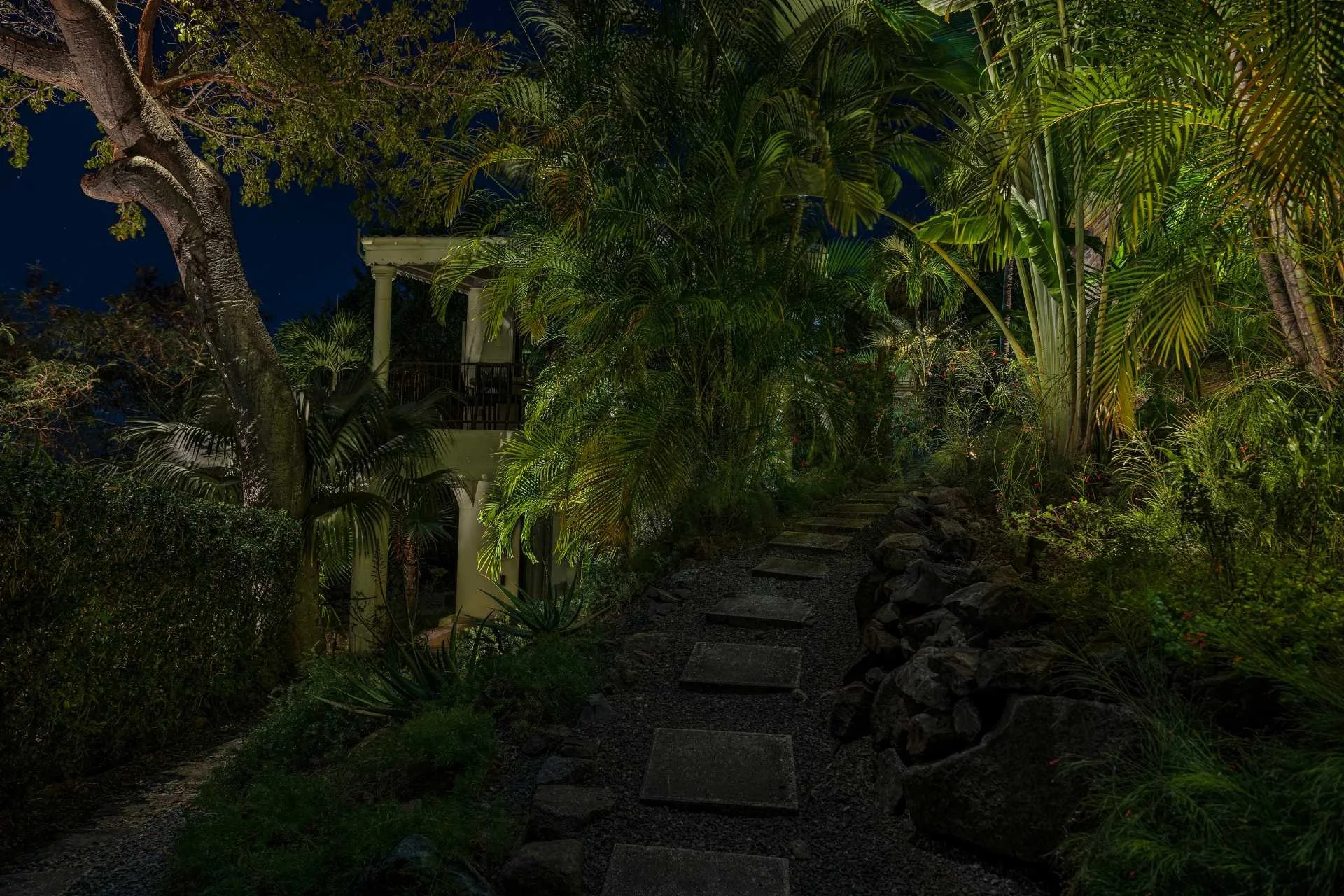 Fogardy.Backyard.jpg