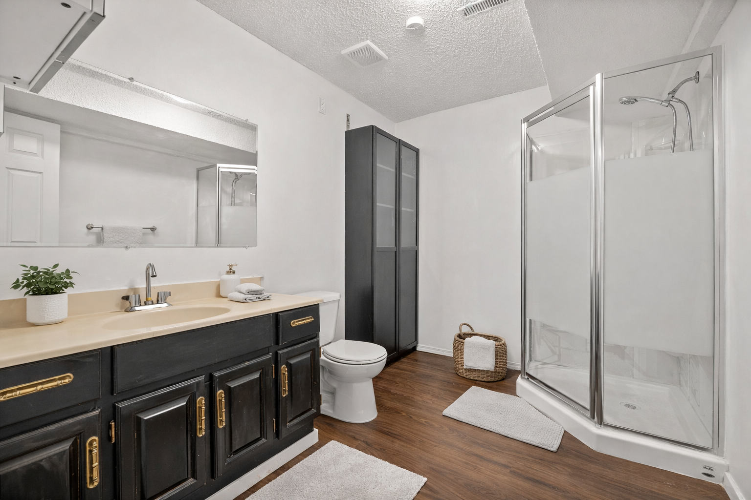 basement bathroom.png