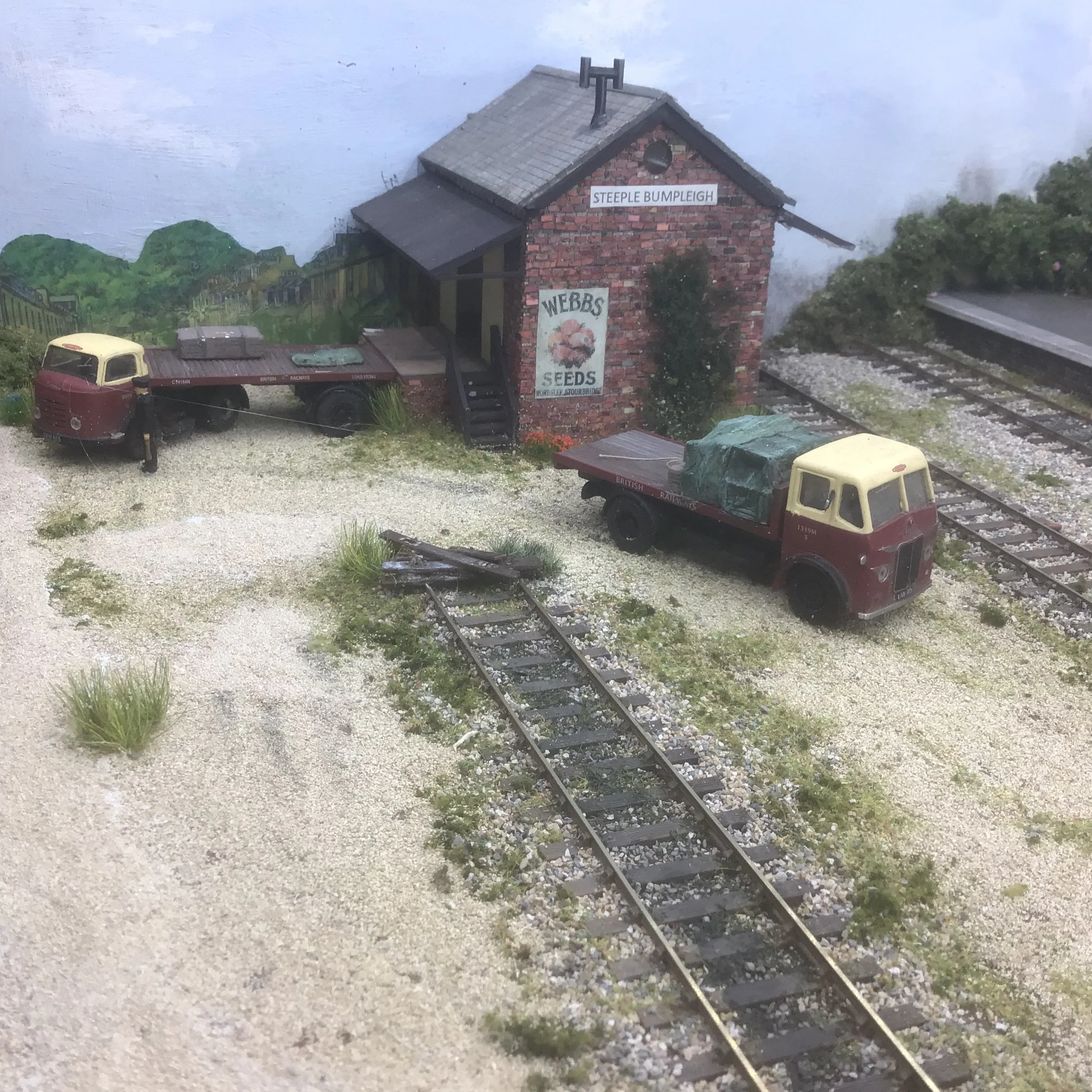 IMG_0286.jpeg