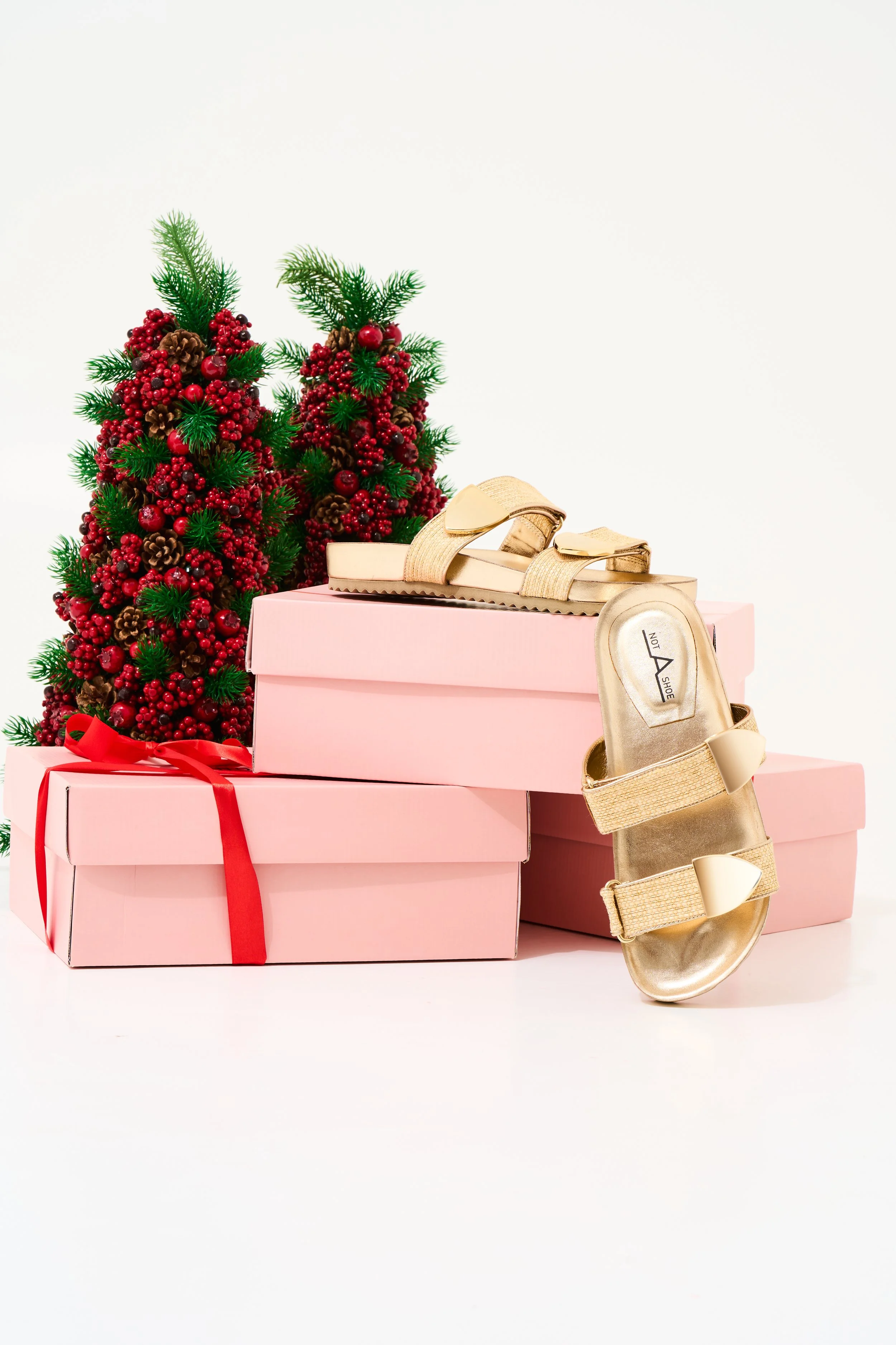 Not_A_Shoe_Natal 136.jpg