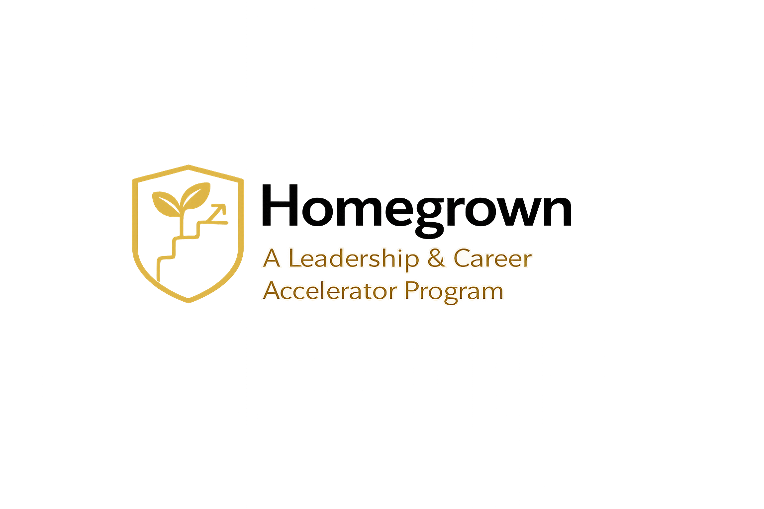 Text overlay on a distorted background reads, 'A Leadership & Career Accelerator Program' with a yellow leaf and shield icon.