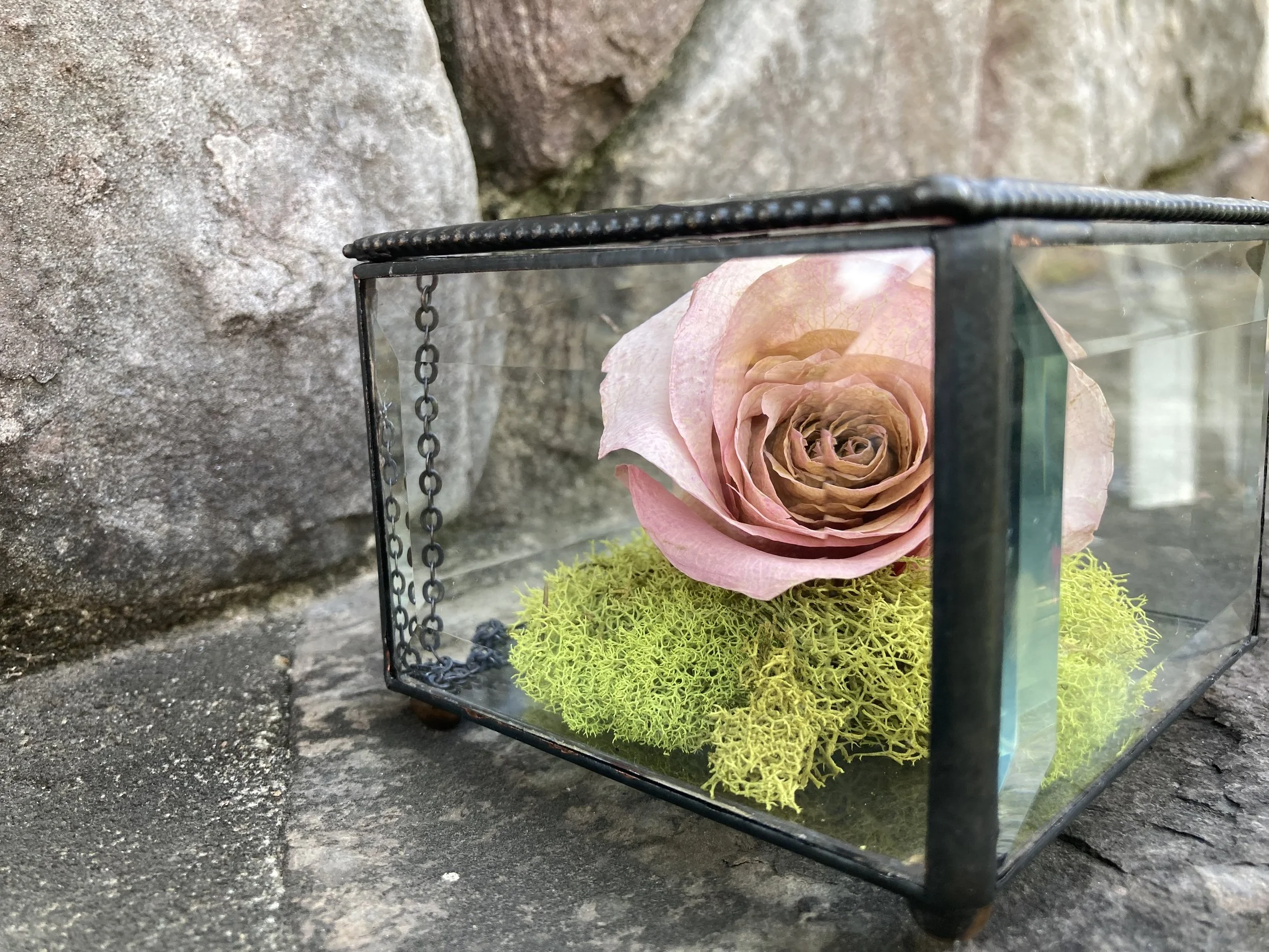 A glass display case with a metal frame, containing a dried pink rose and green moss, placed on a stone surface with rocks in the background.