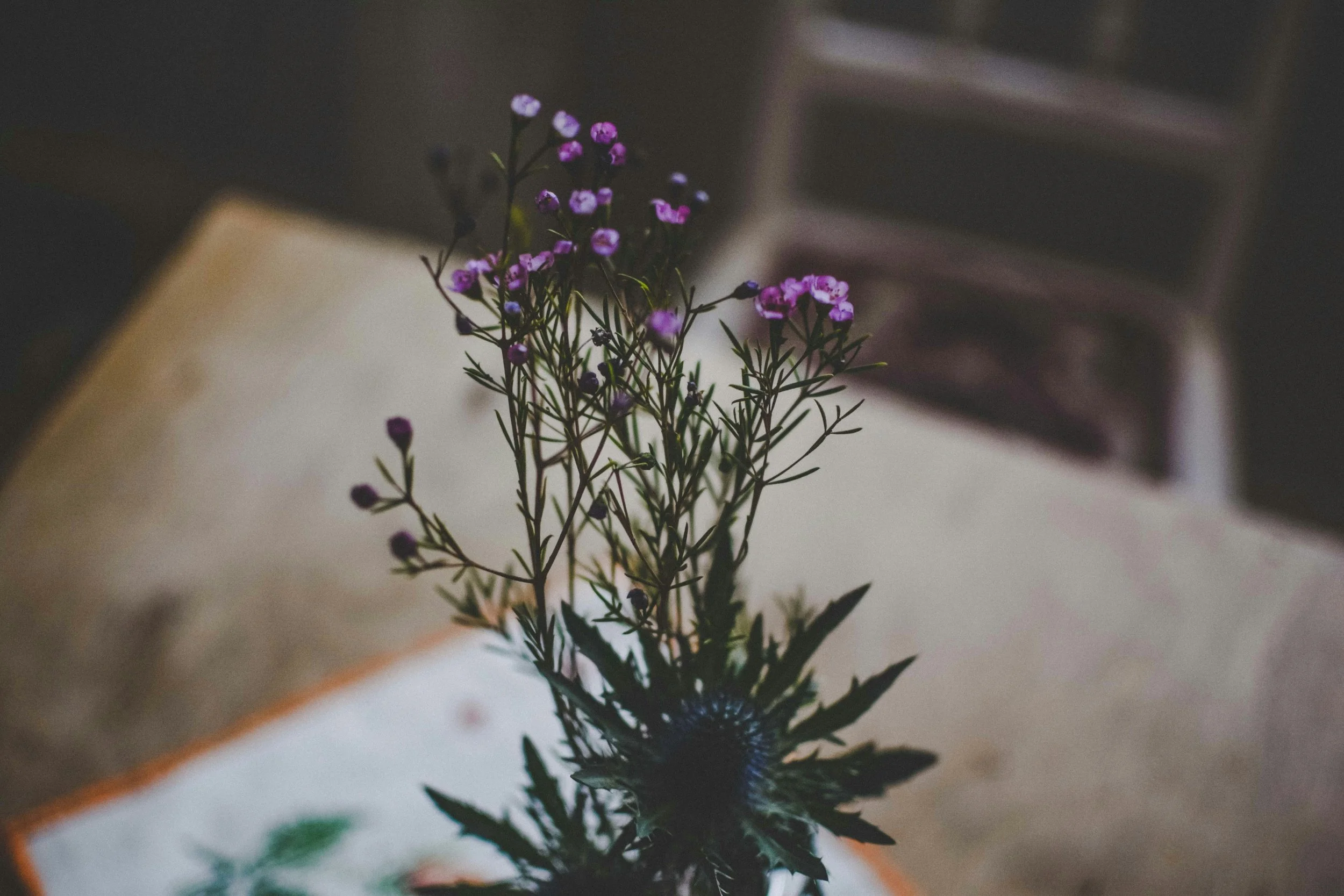 A small potted plant with purple flowers and spiky green leaves on a beige surface. In the background, there is a blurred dark-colored rectangular box or electronic device.