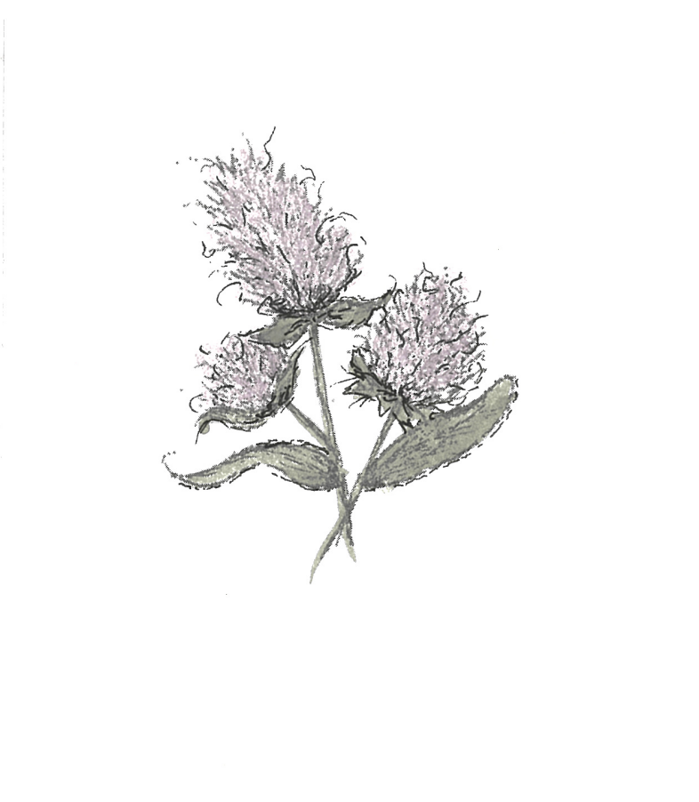 Screenshot 2025-11-10 at 3.12.22 PM.png