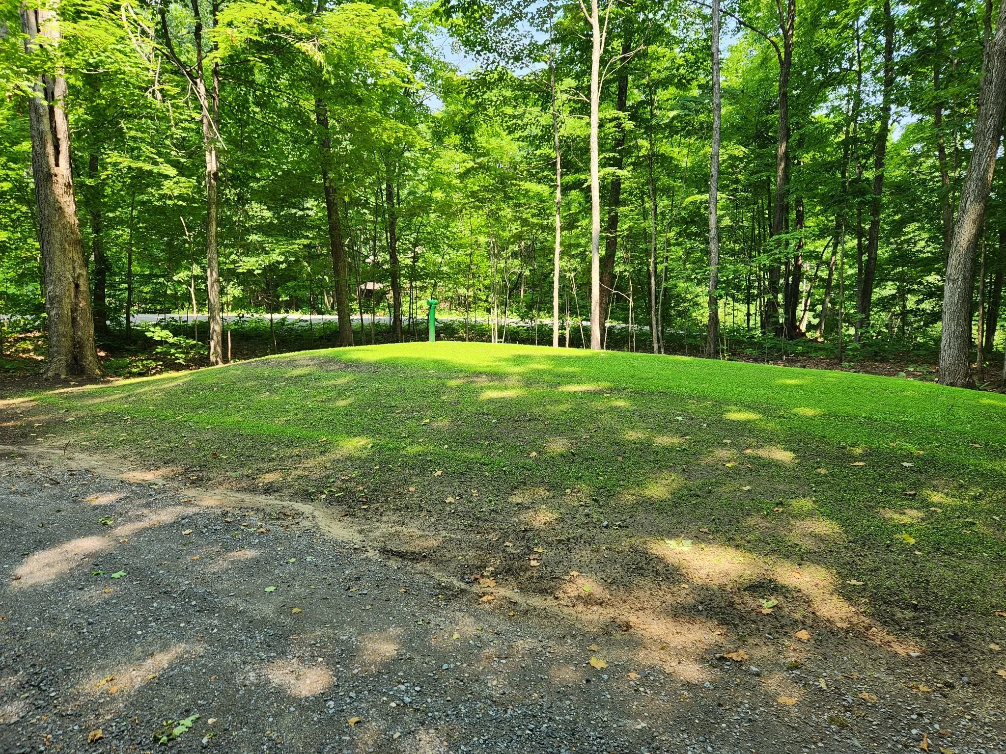 Forêt dense avec feuillage vert vif, sol recouvert de feuilles et d'herbe, une source d'eau verte visible à l'arrière-plan, un chemin en gravier au premier plan.