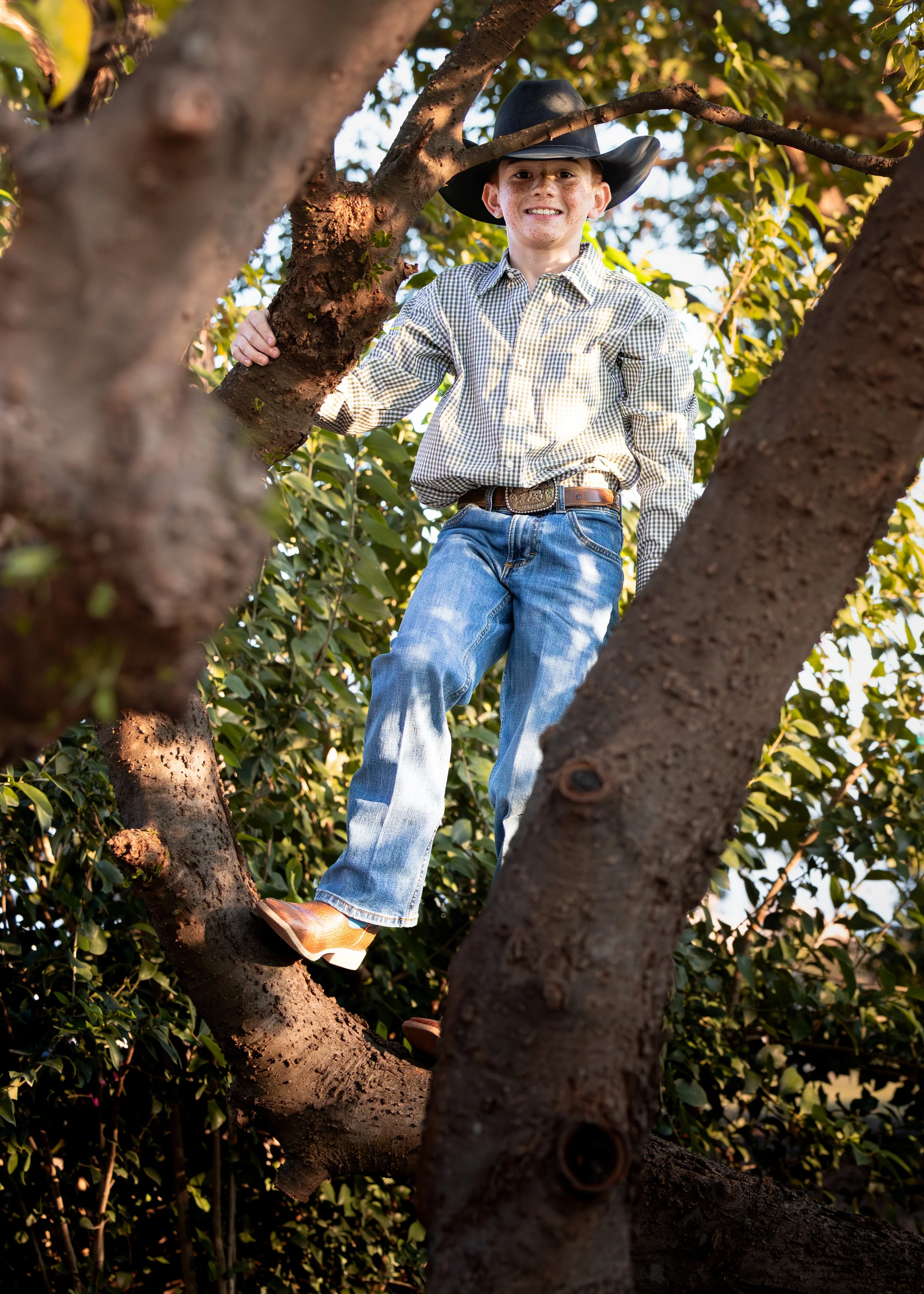 A young boy wearing a plaid shirt, jeans, cowboy boots, and a cowboy hat is climbing a tree and smiling.