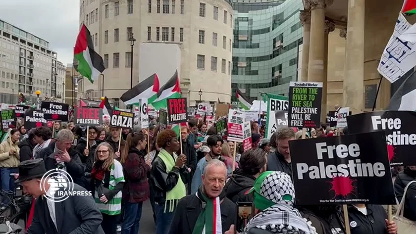 Bleeding But Unbreakable: The Ummah’s Legacy of Resistance