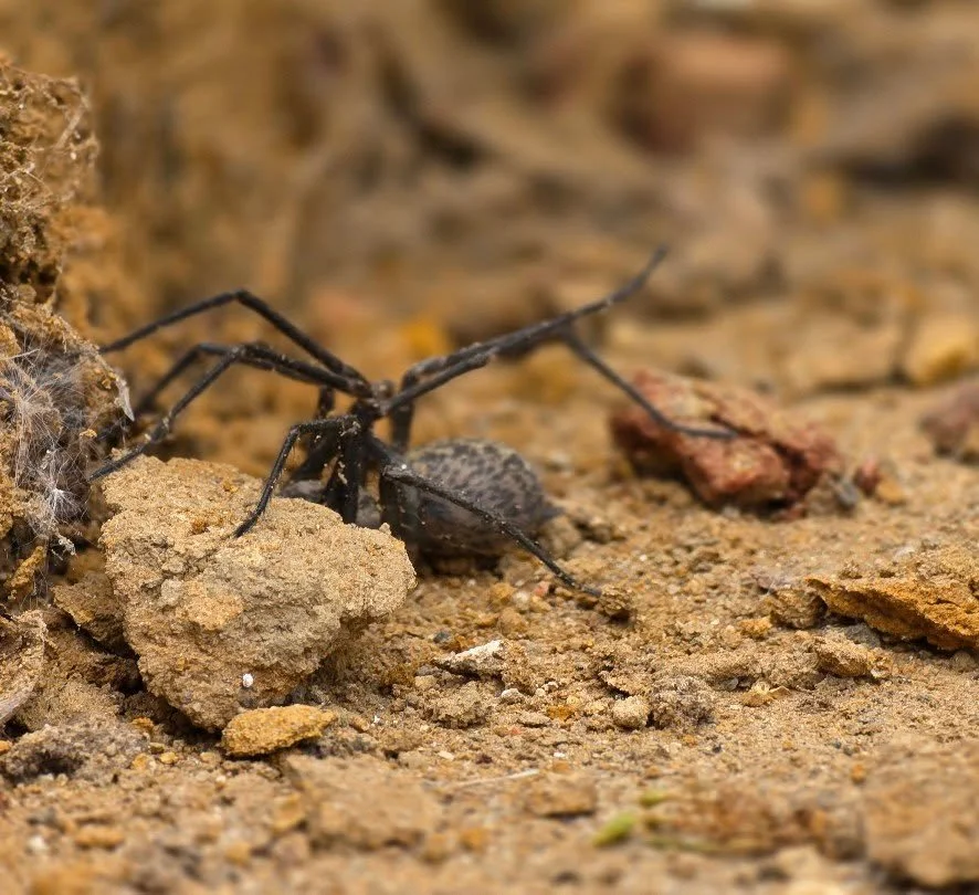 My professional associates.