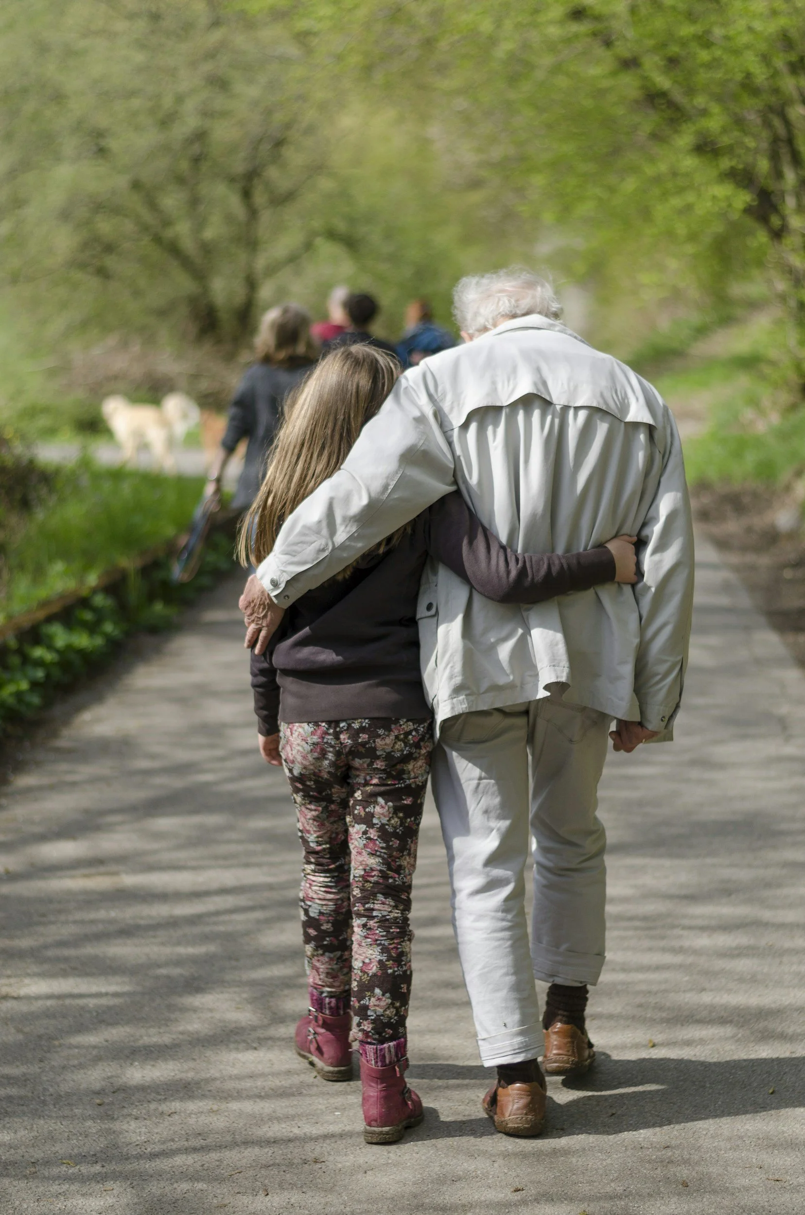 A group of people walking down a park trail, with an elderly man and a young girl walking arm in arm in the foreground.