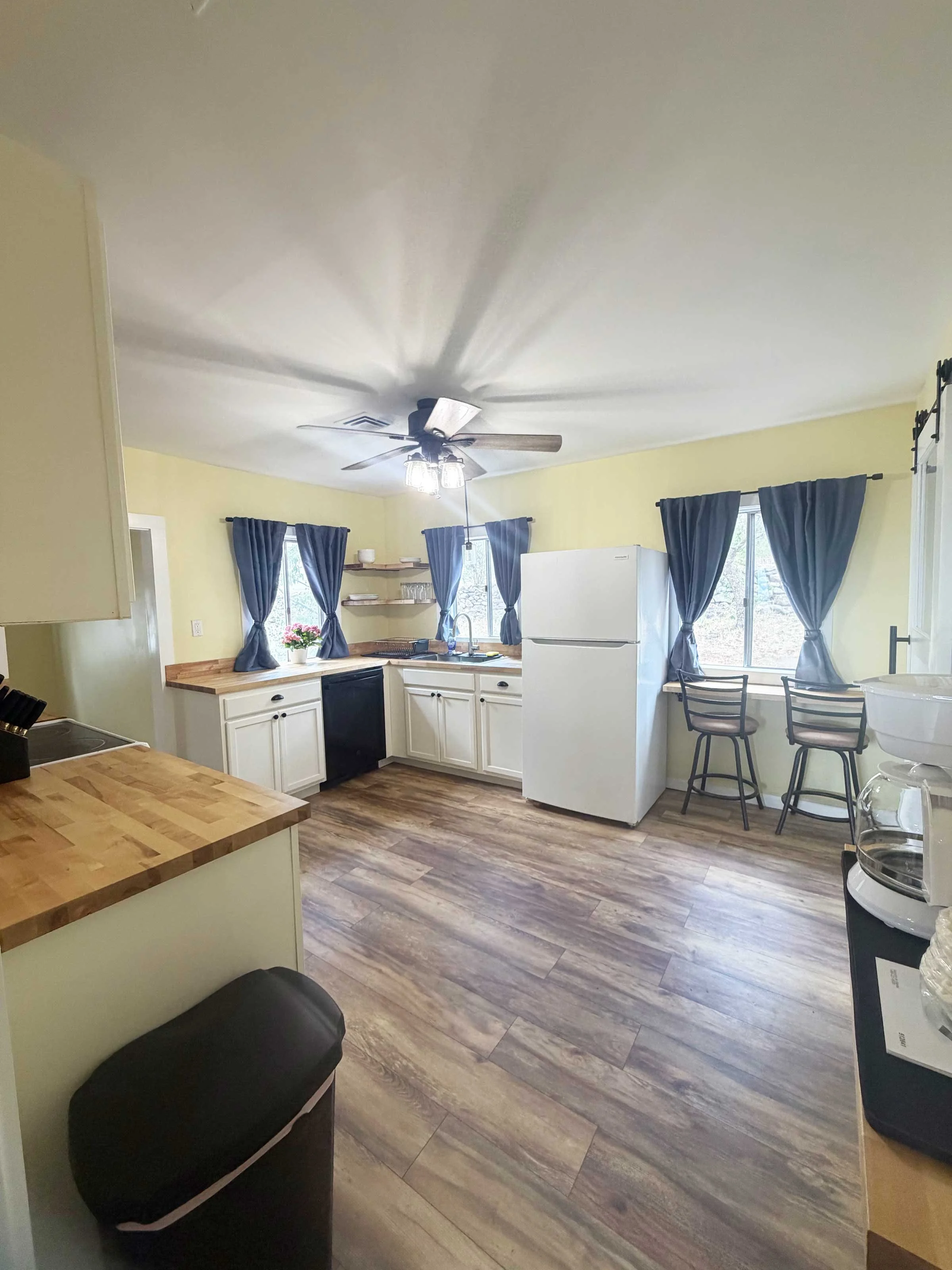 RH-Kitchen-Alt-View-IMG_3124.jpg