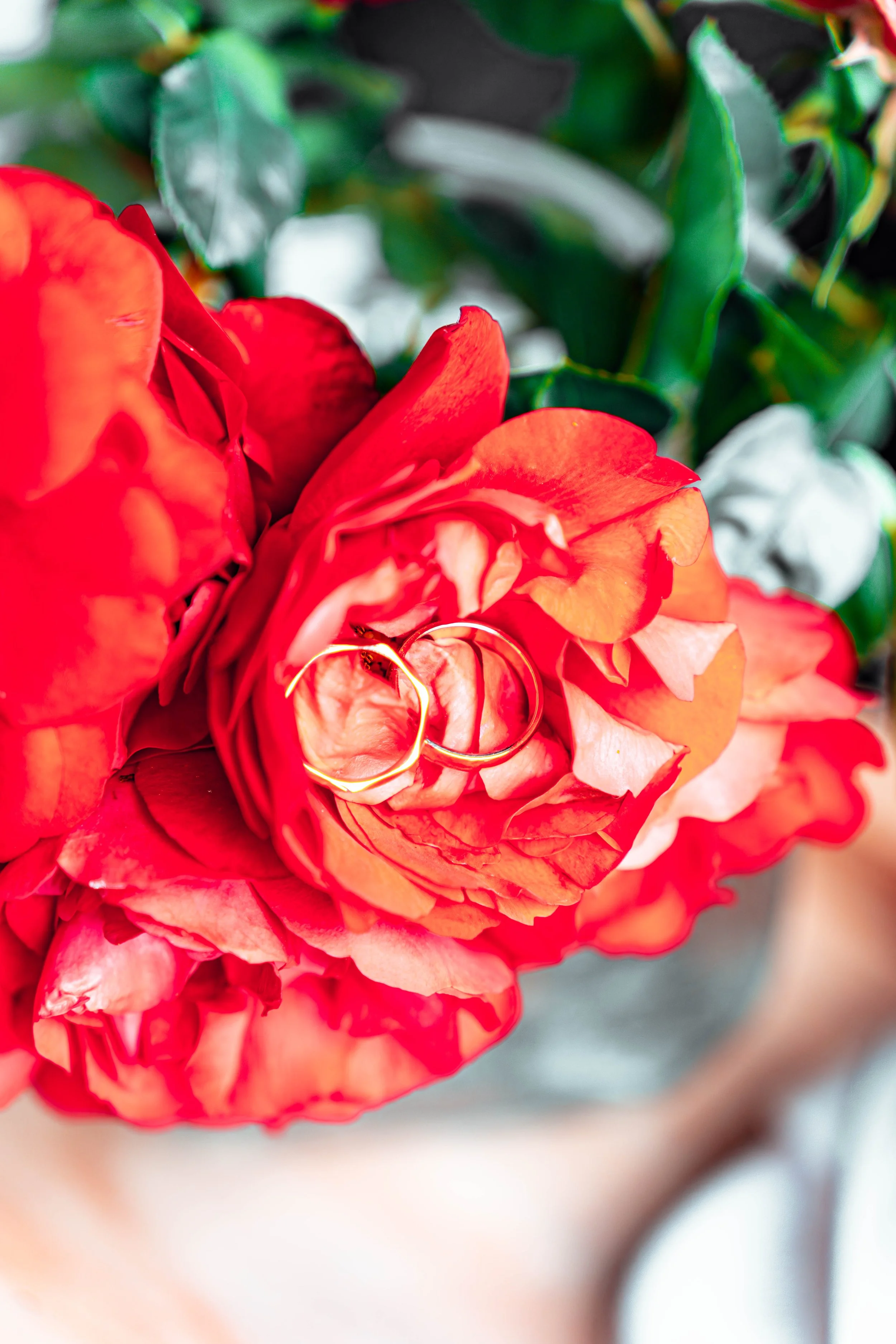 A7401193-Avec accentuation-Bruit.jpg