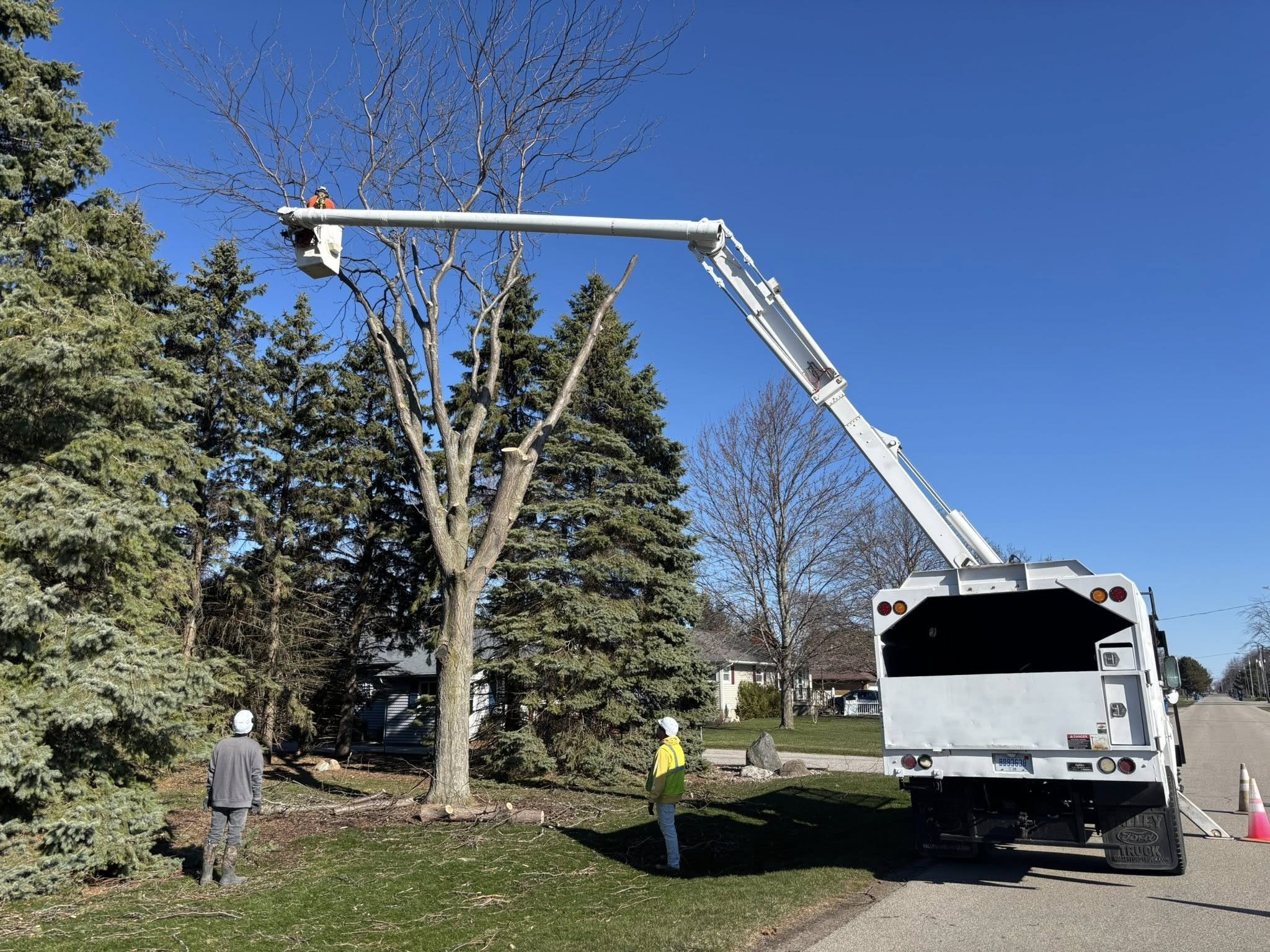 Tree service work in Essexville, MI