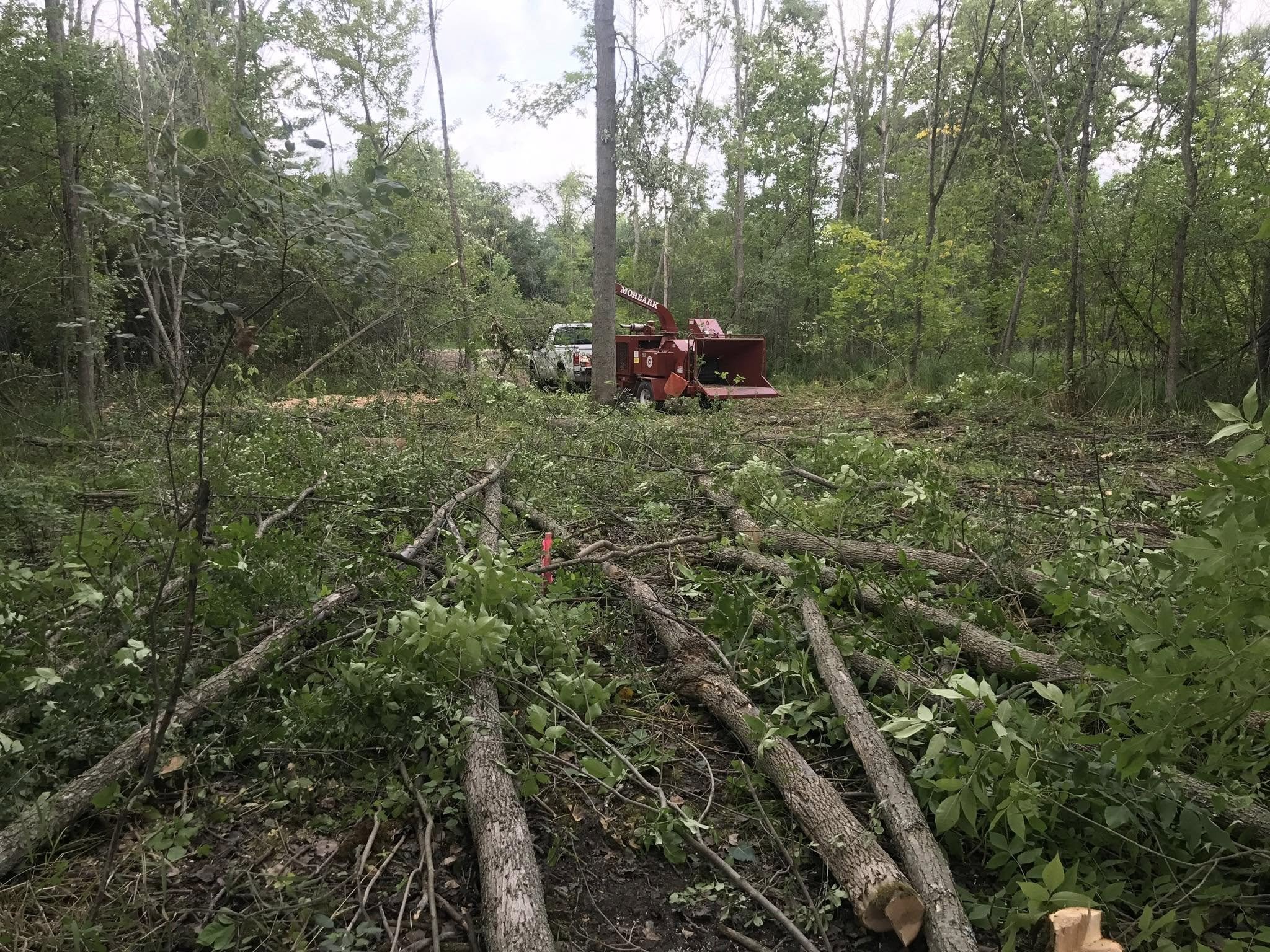 Land clearing
