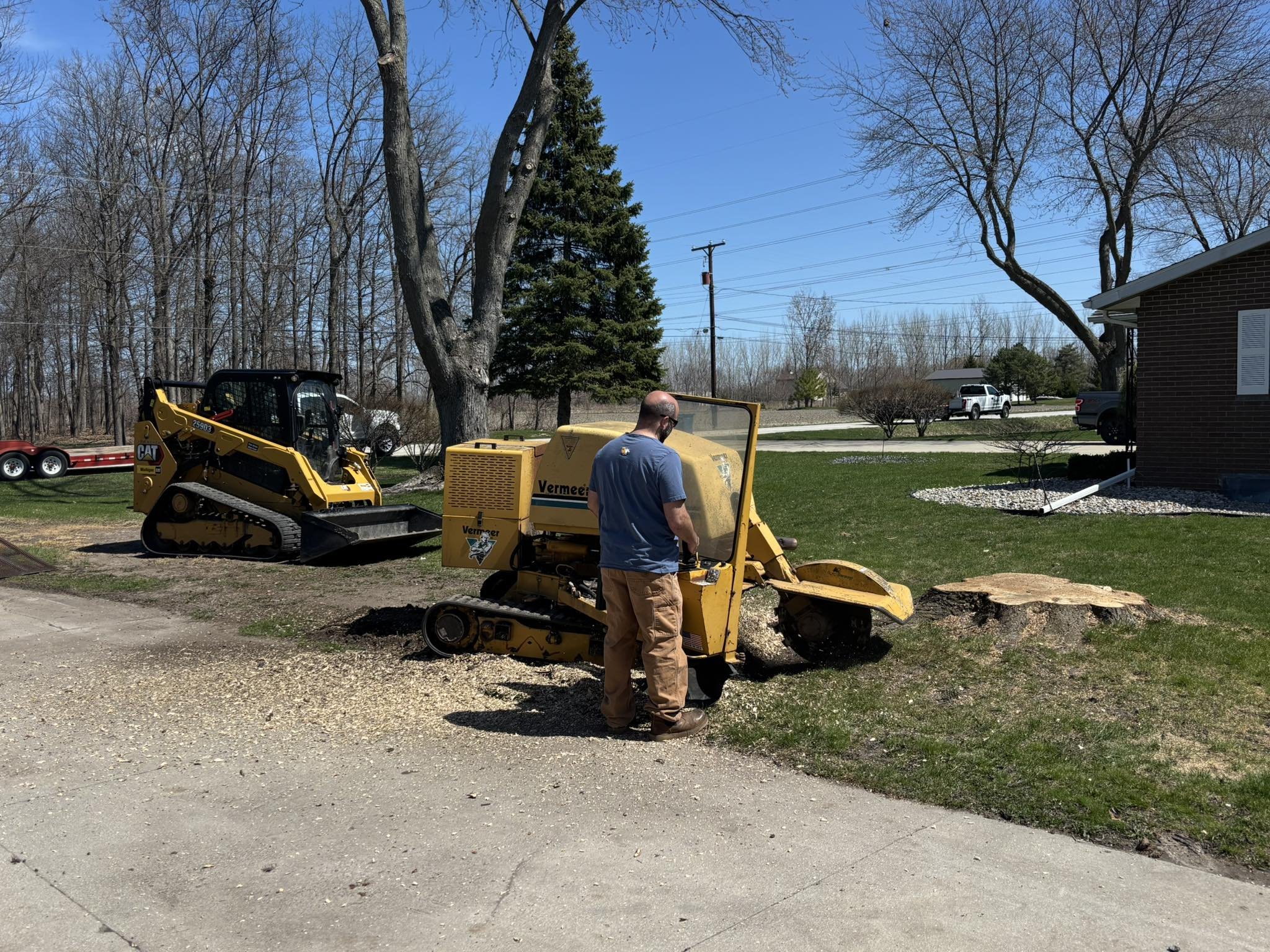 Stumping a large tree trunk with Dawsonator 5000