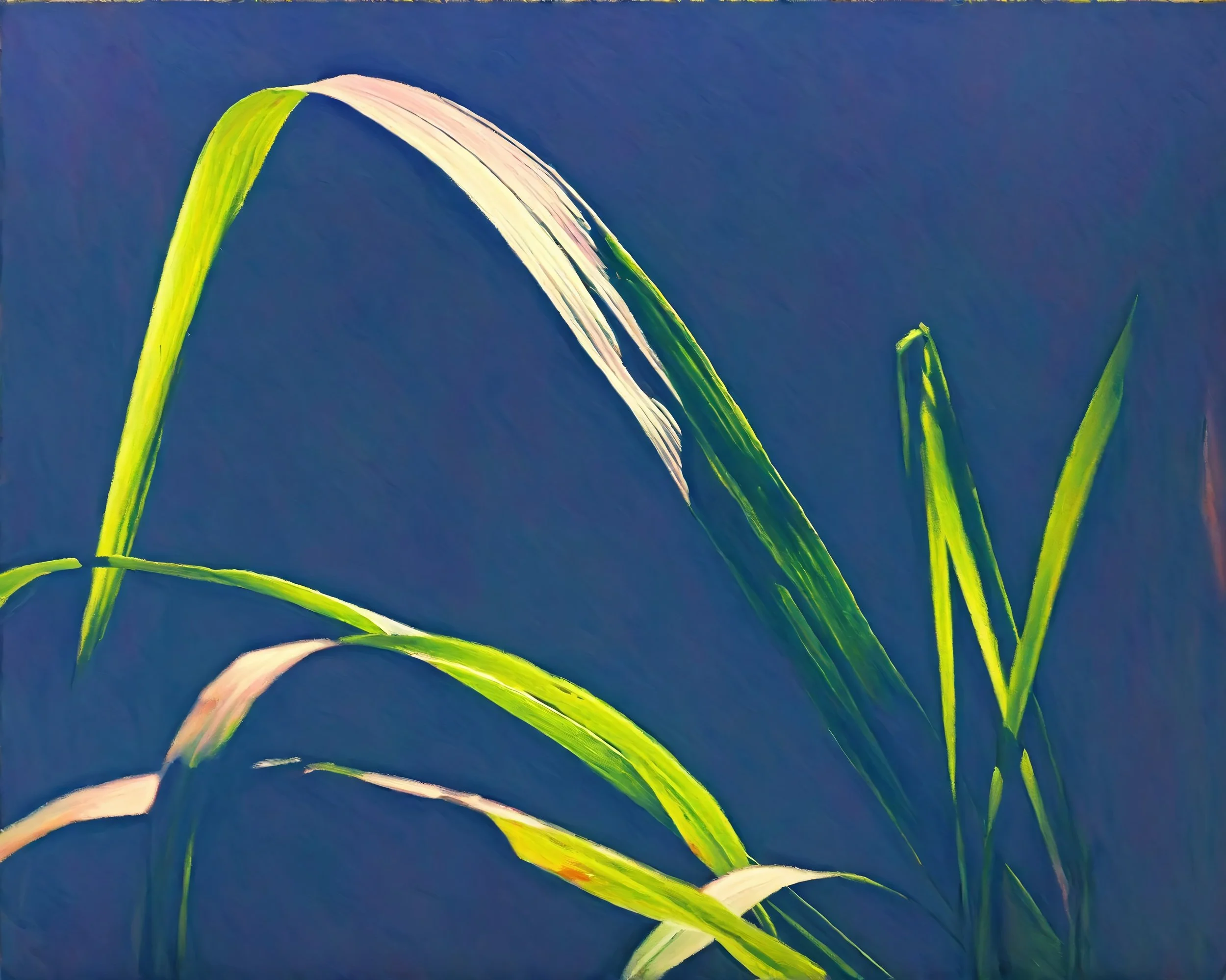 oilpainting_00302_.jpg