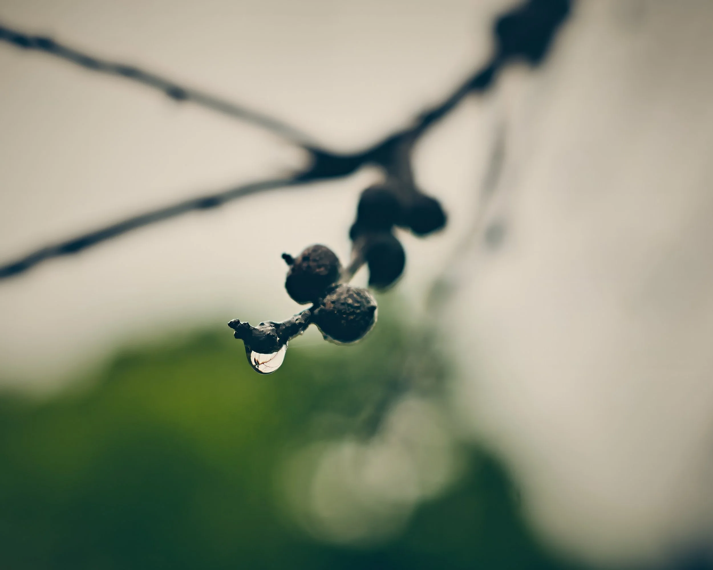 Just waiting to drip this little drop sits.