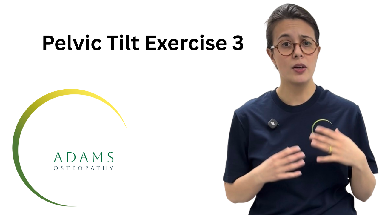 Pelvic Tilts 3 .png