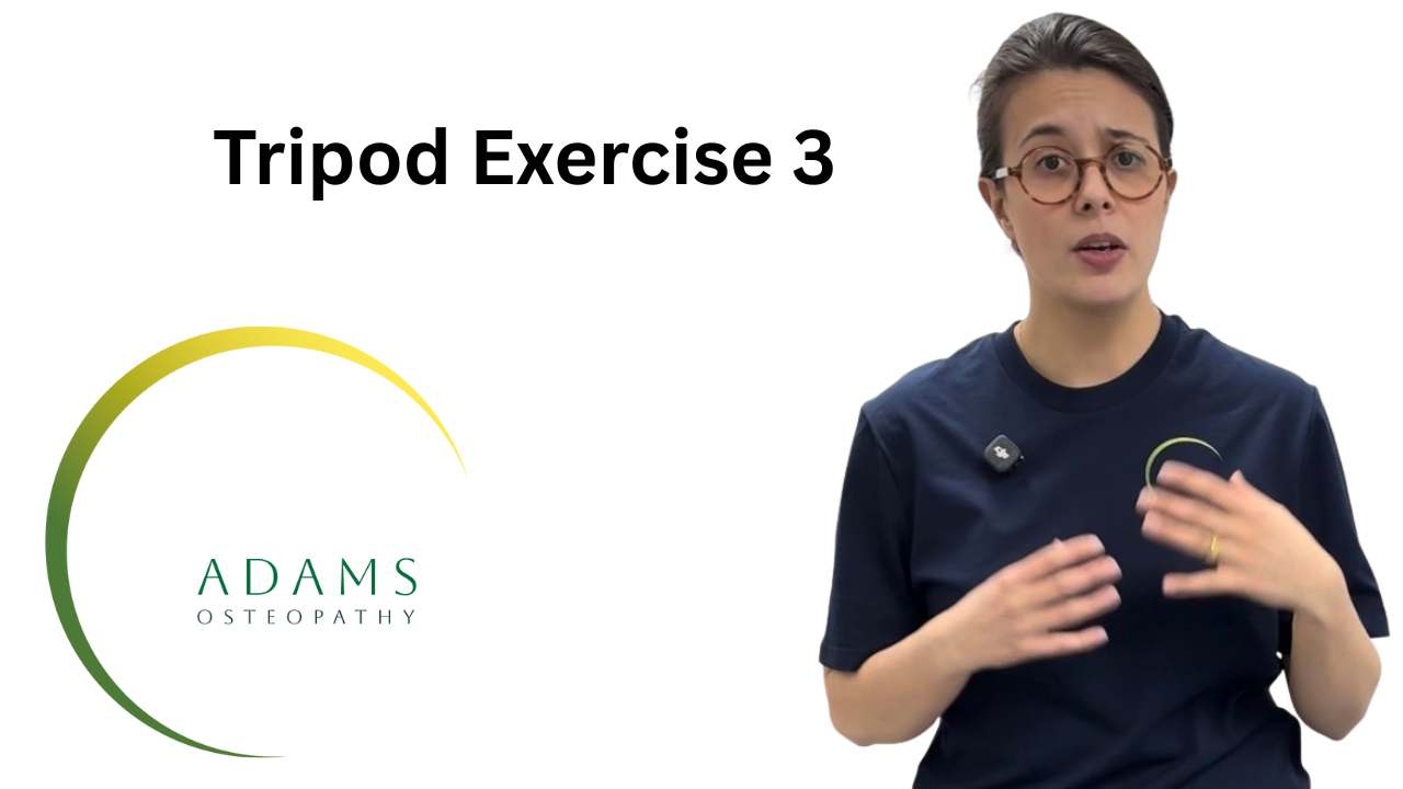 Your paragraph text-4.png